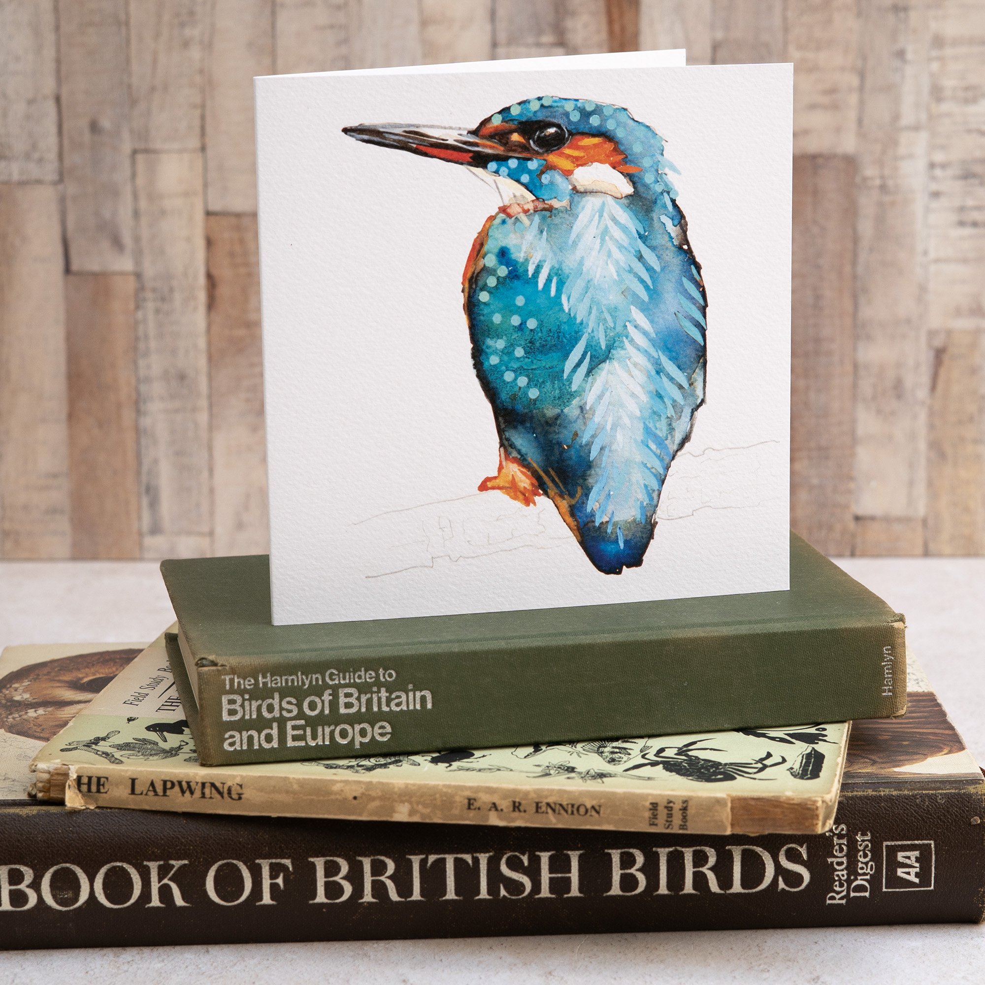 Shark Alley Kingfisher Greetings Card 2a.jpg