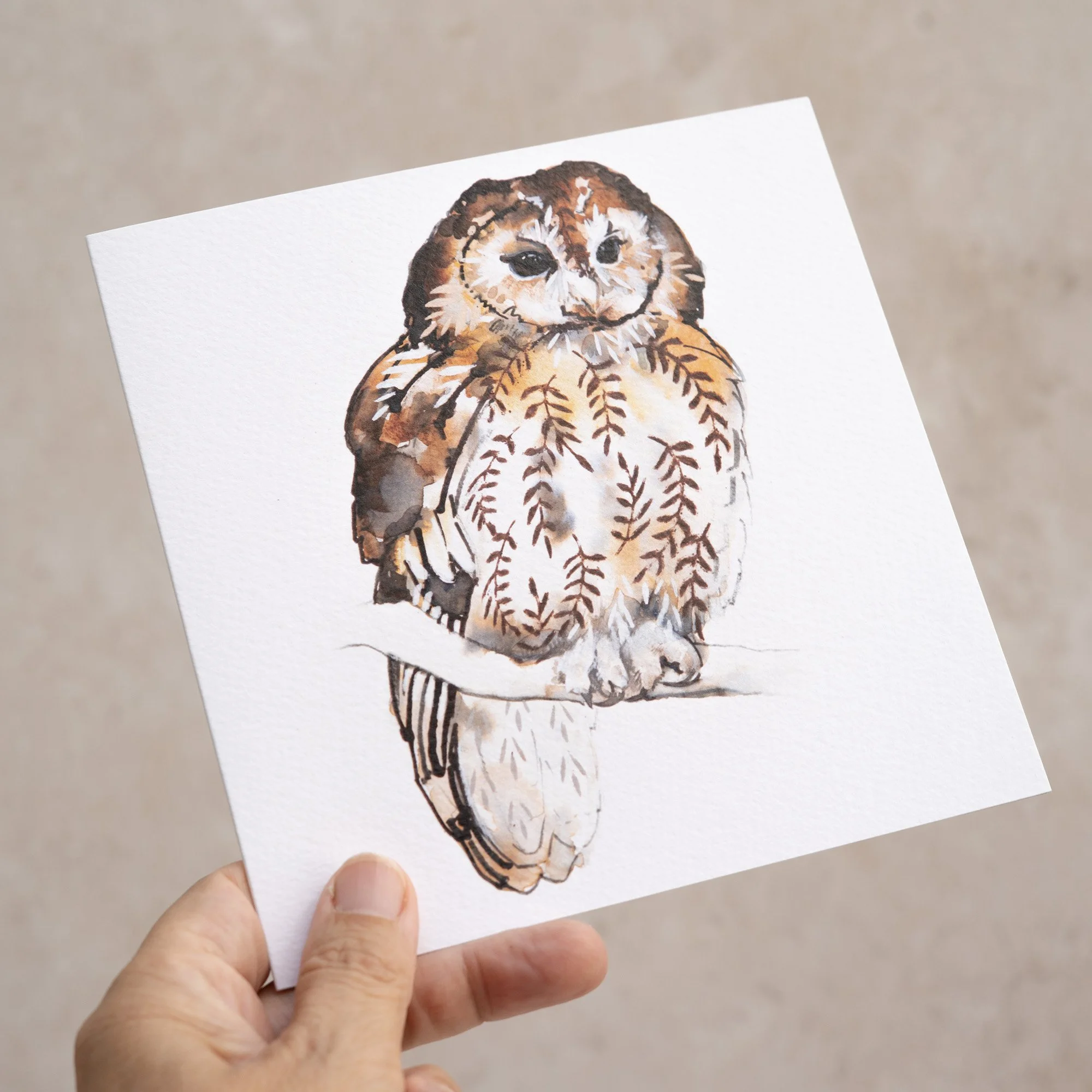 Shark Alley Tawny Owl Greetings Card 3.jpg