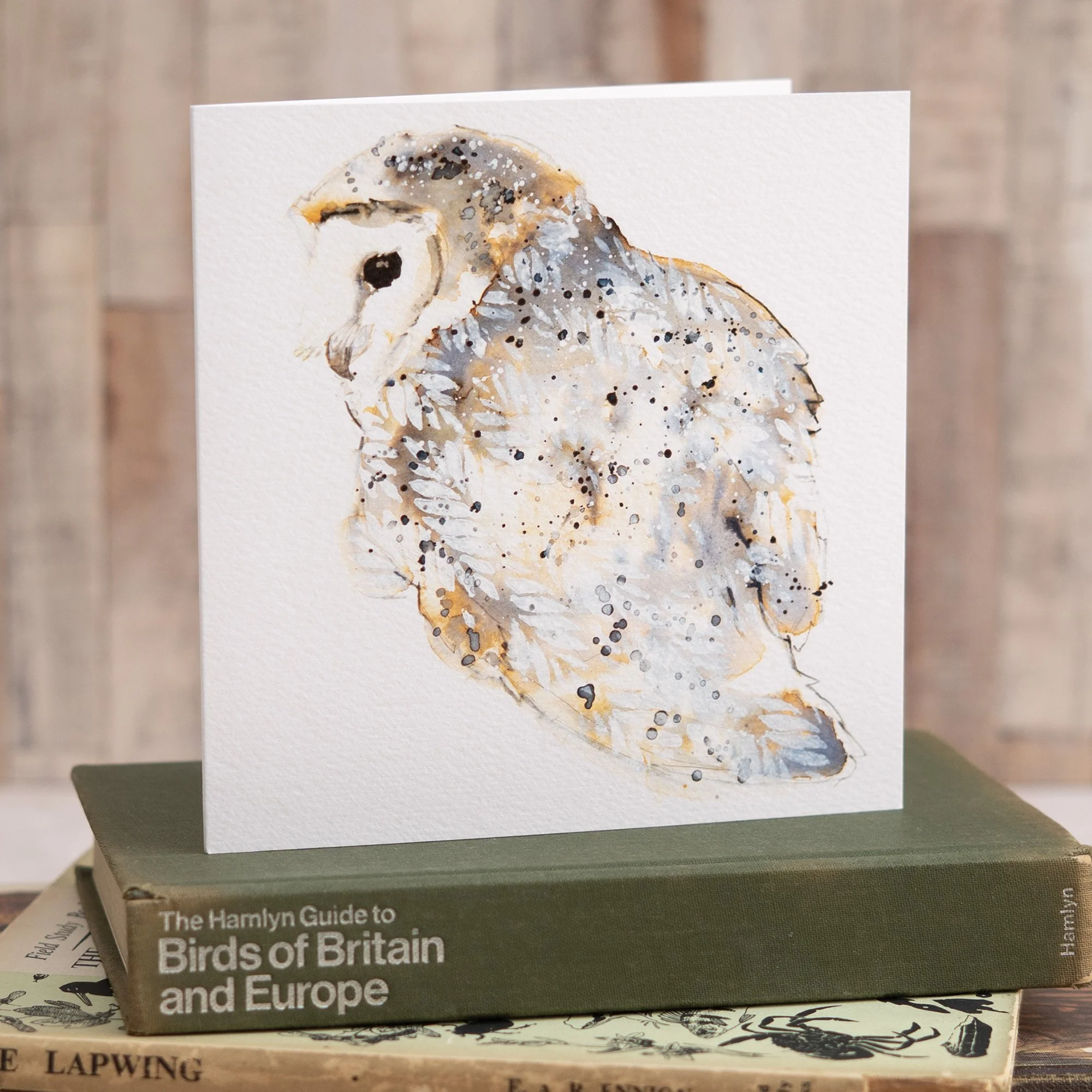 Shark Alley Barn Owl Greetings Card 2.jpg