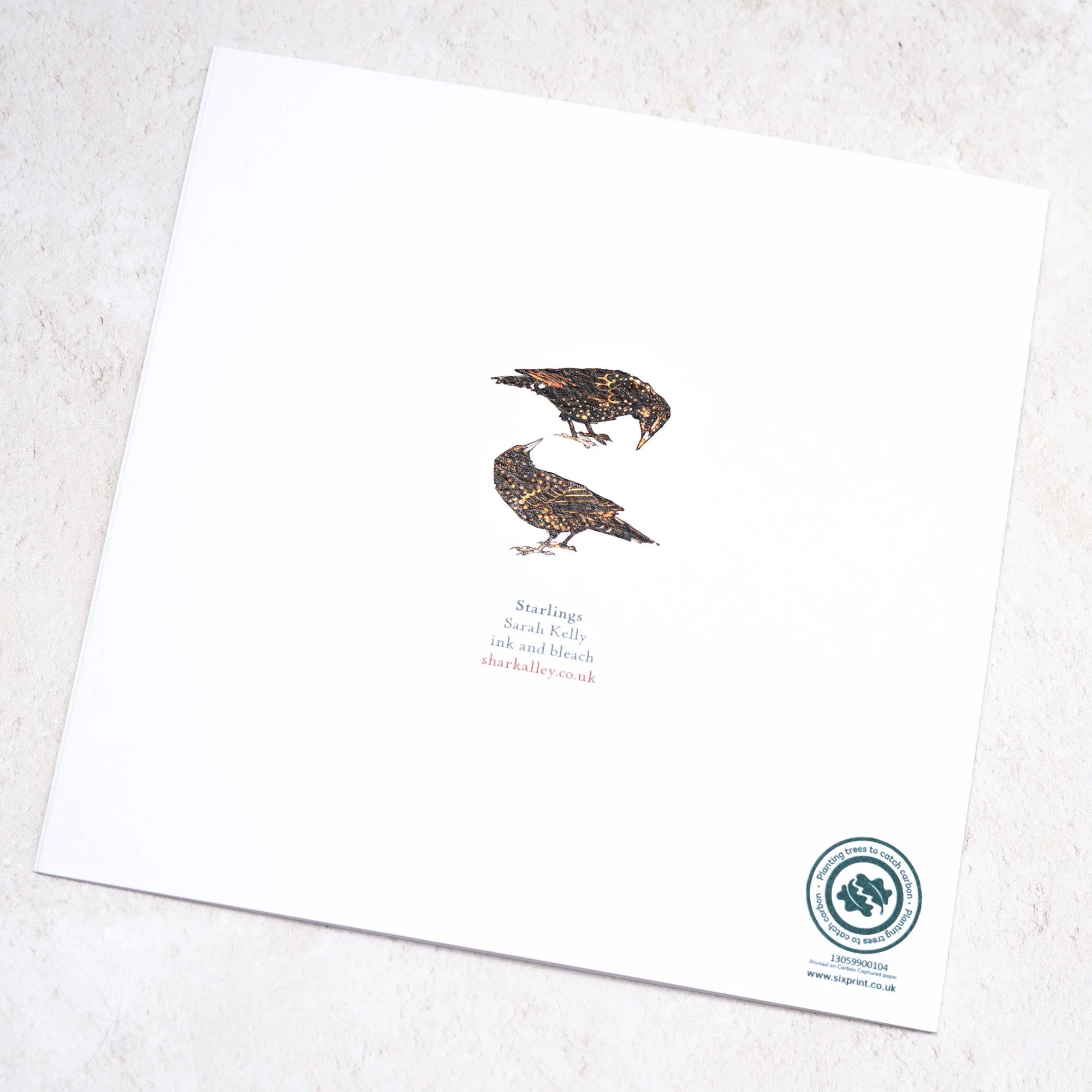 Shark Alley Starlings Greetings Card 4.jpg