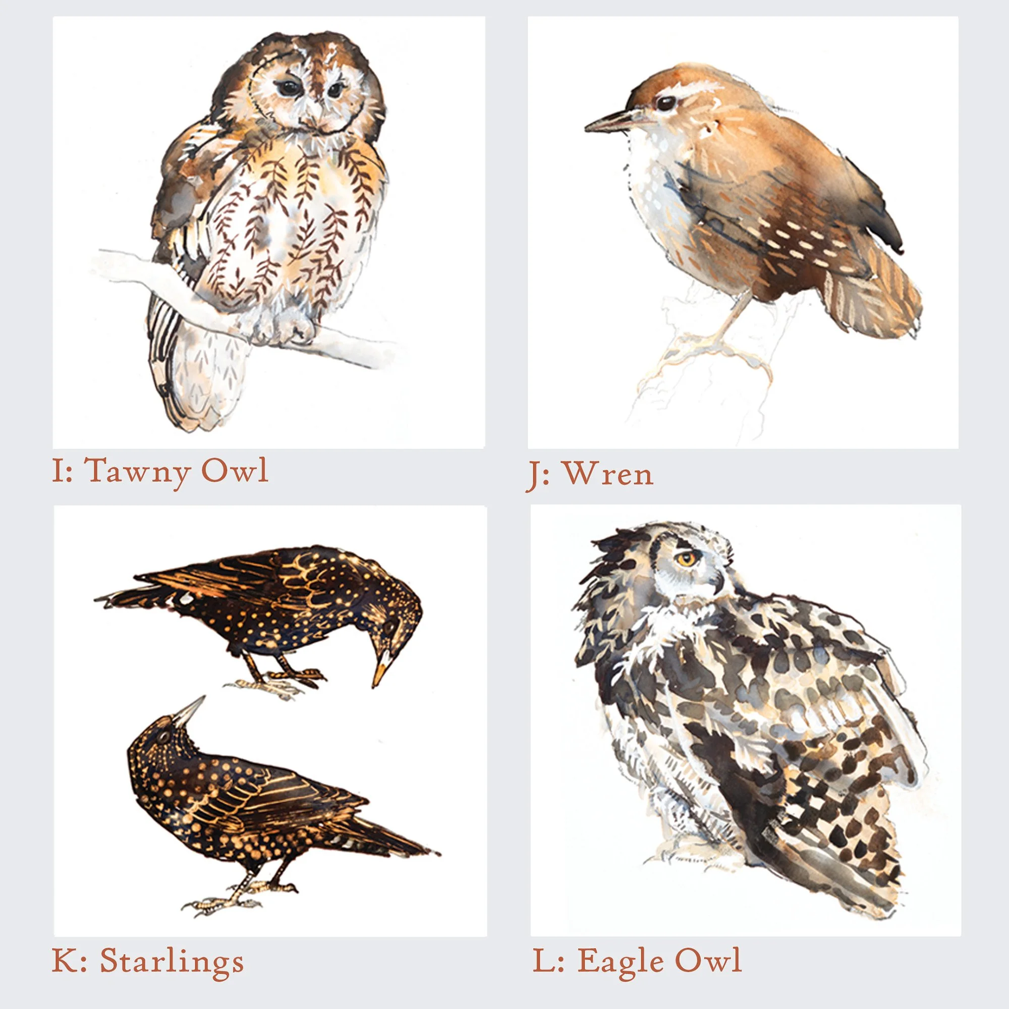 Bespoke Set Of Four Bird Cards set 3.jpg