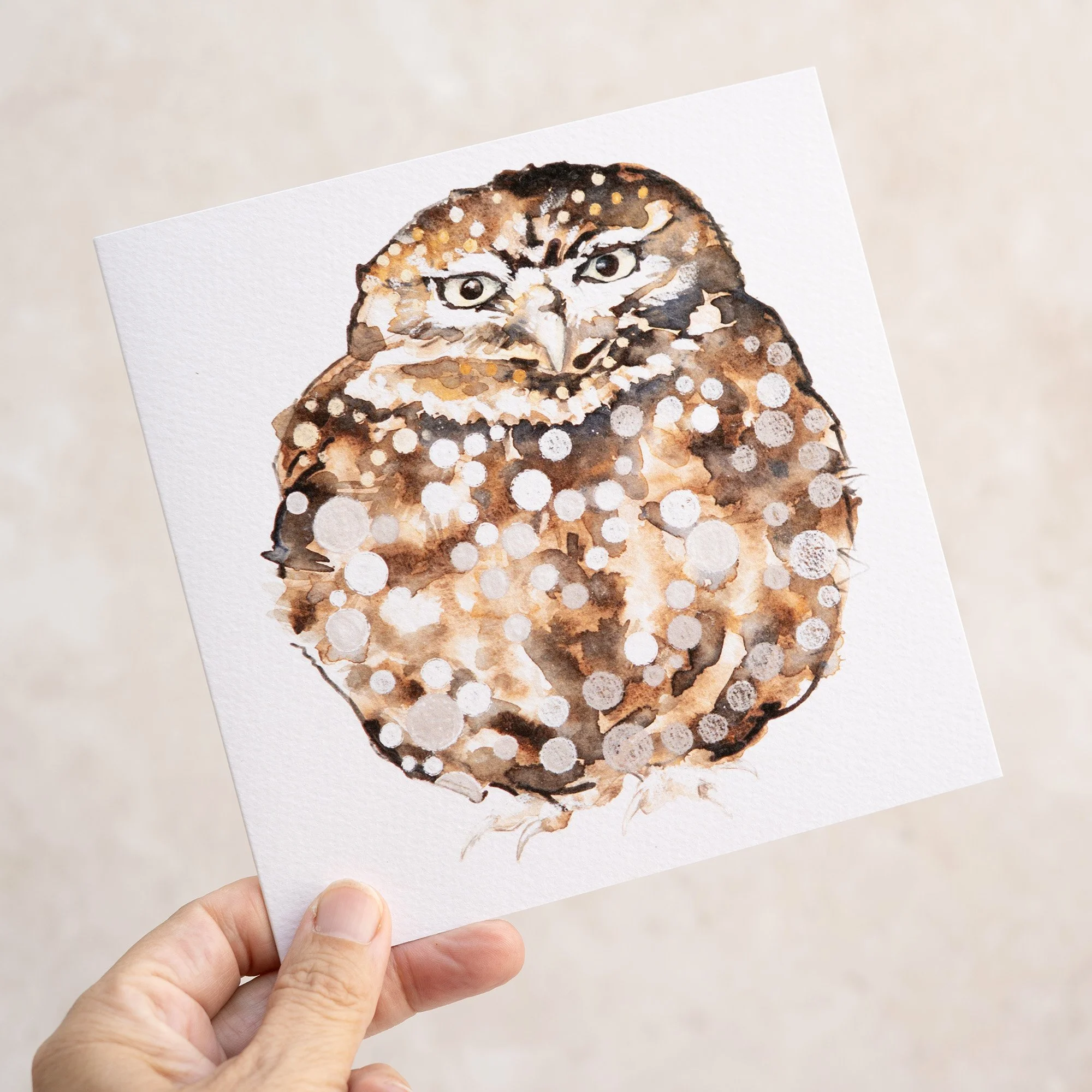 Shark Alley Little Owl Greetings Card 3.jpg
