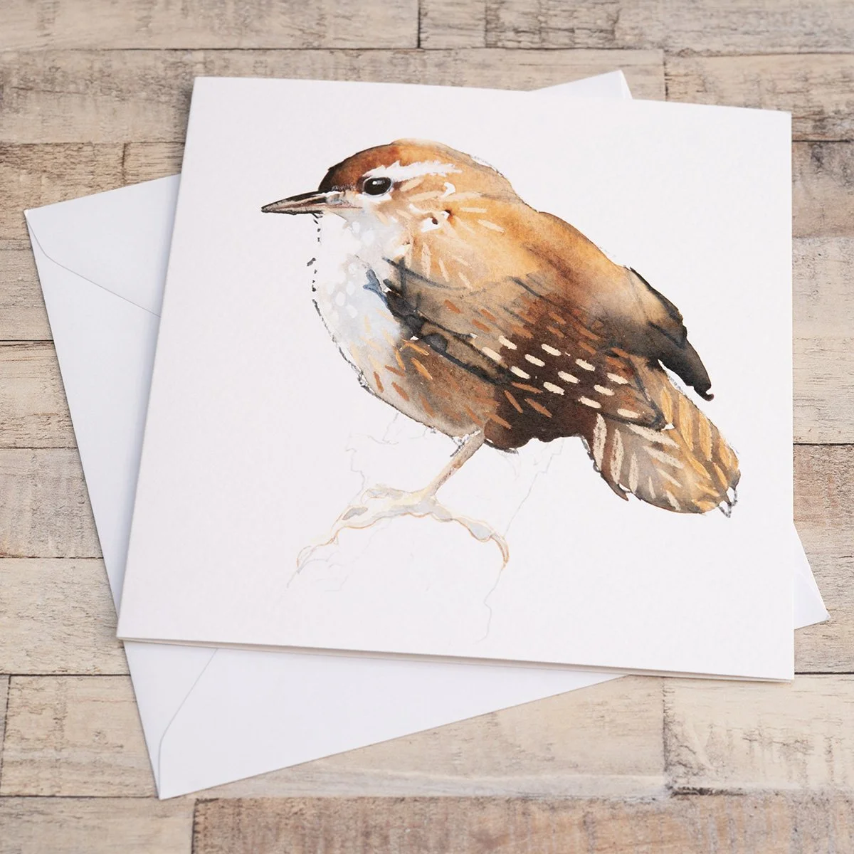 Shark Alley Wren Greetings Card 1.jpg