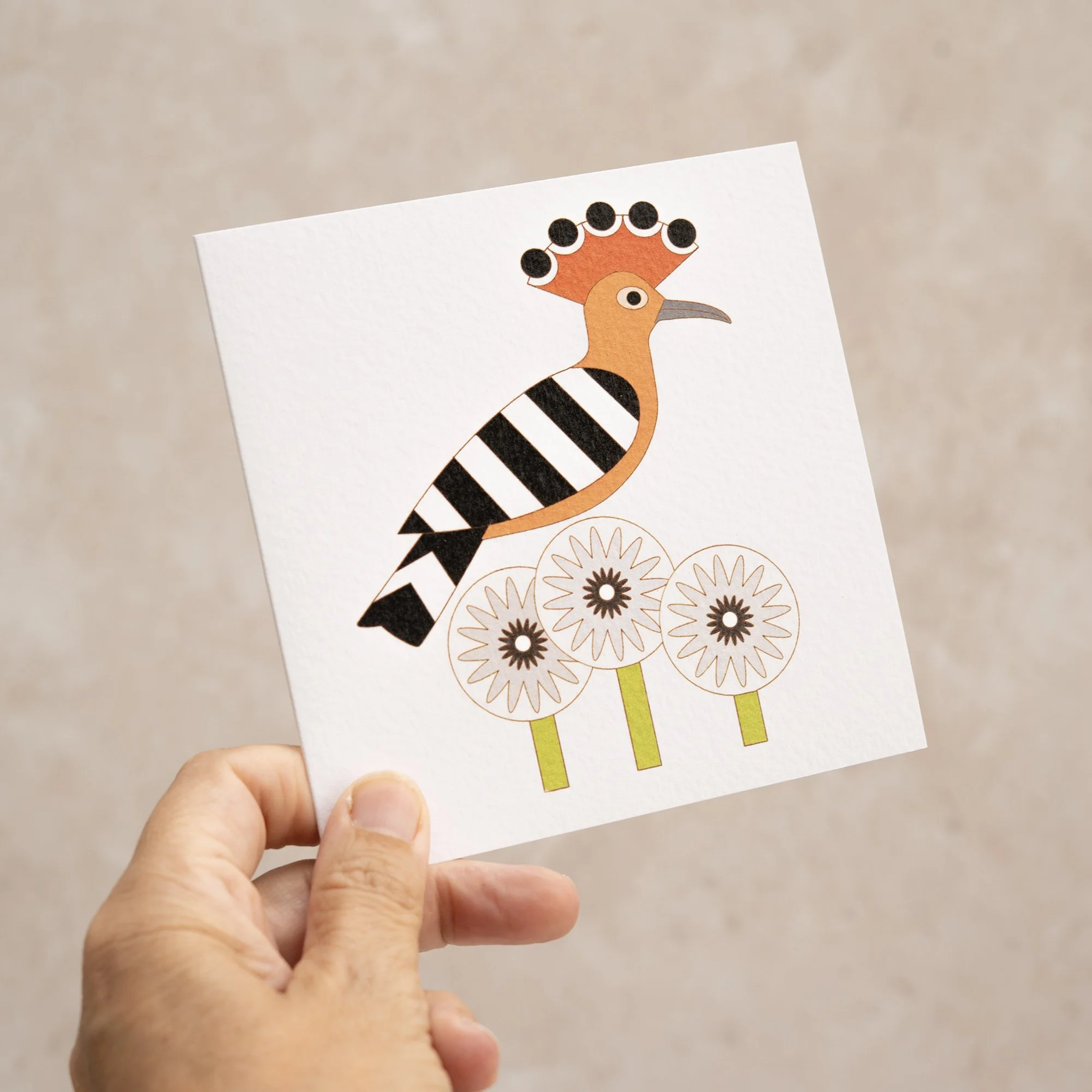 Shark Alley Hoopoe Dandelion Greetings Card 2.jpg