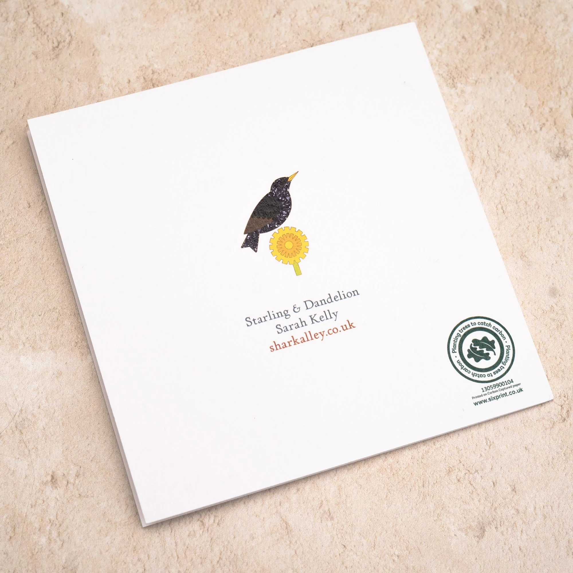 Shark Alley Starling Dandelion Greetings Card 4.jpg