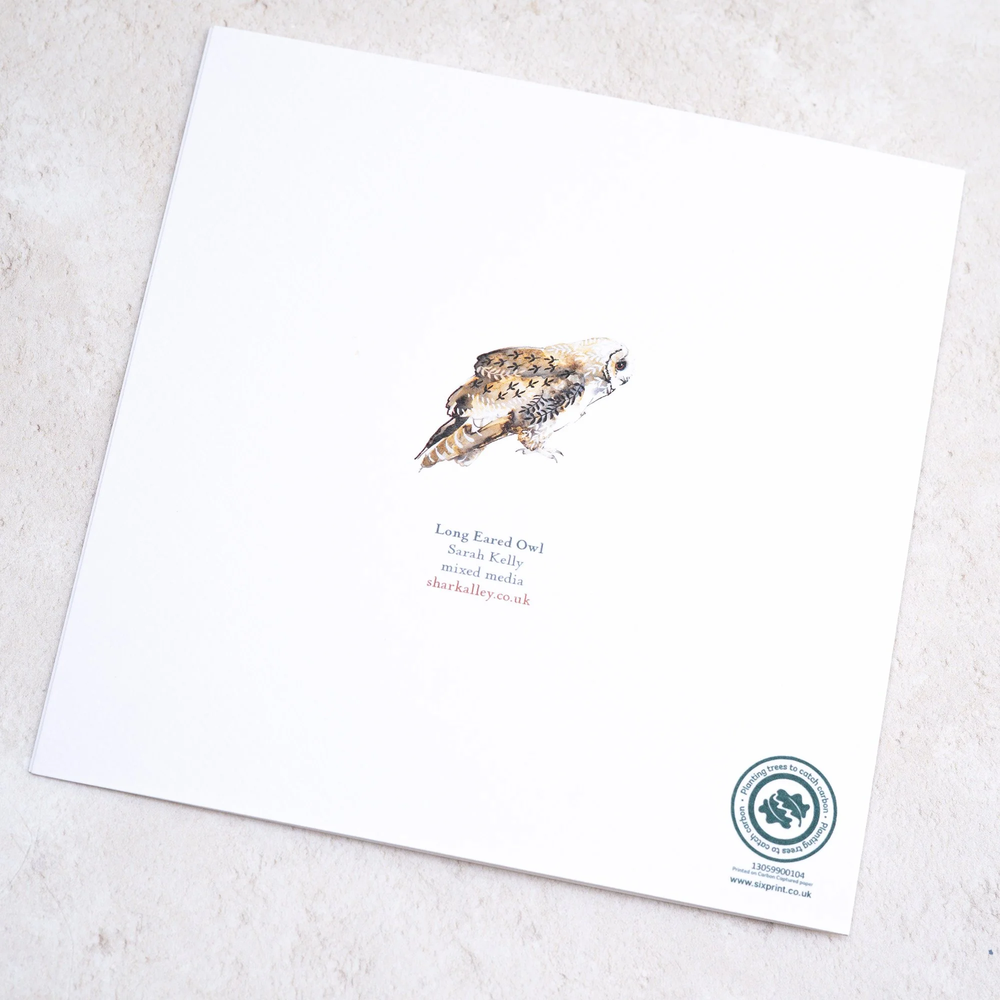 Shark Alley Long Eared Owl Greetings Card 4.jpg