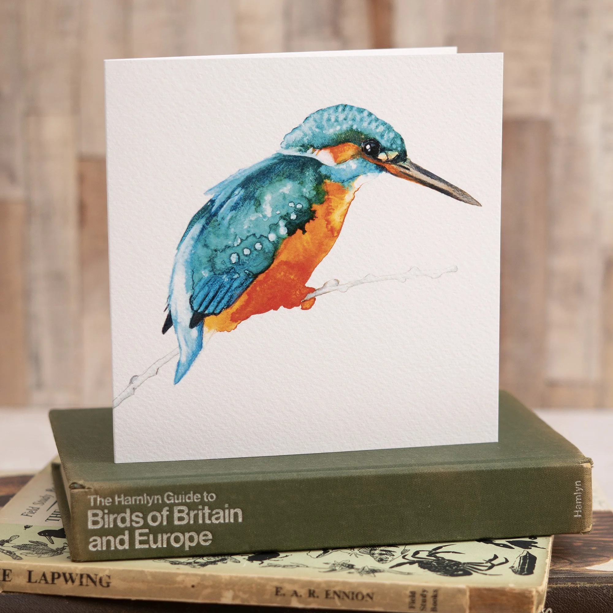 Shark Alley Kingfisher 2 Greetings Card 2a.jpg