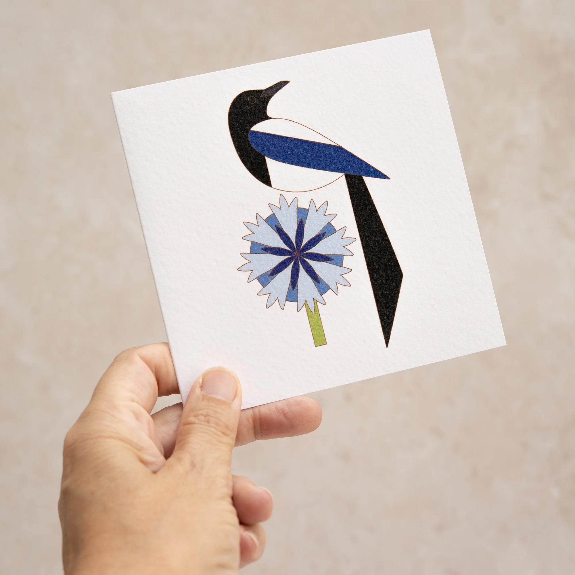 Shark Alley Magpie Cornflower Greetings Card 2.jpg