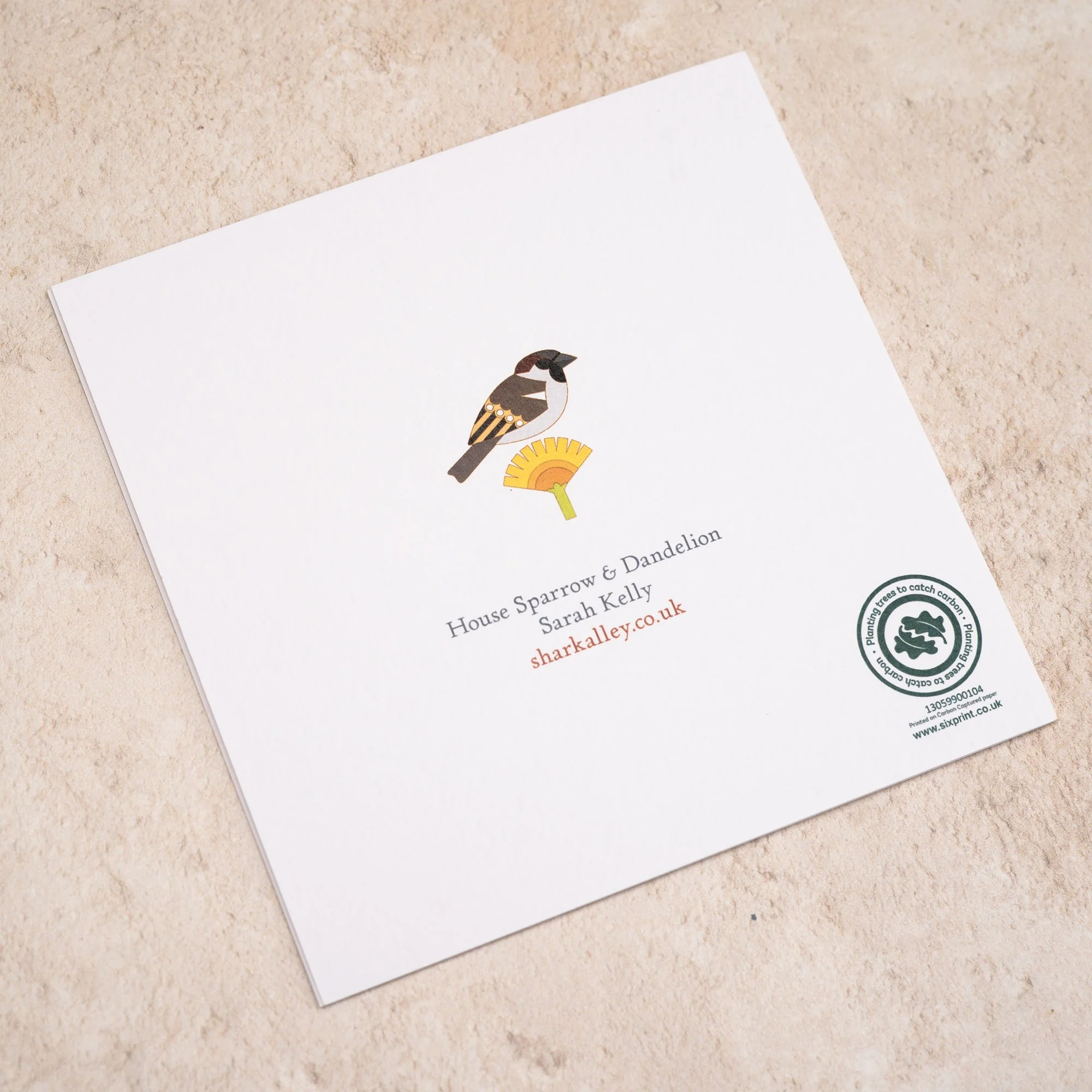 Shark Alley Sparrow Dandelion Greetings Card 4.jpg