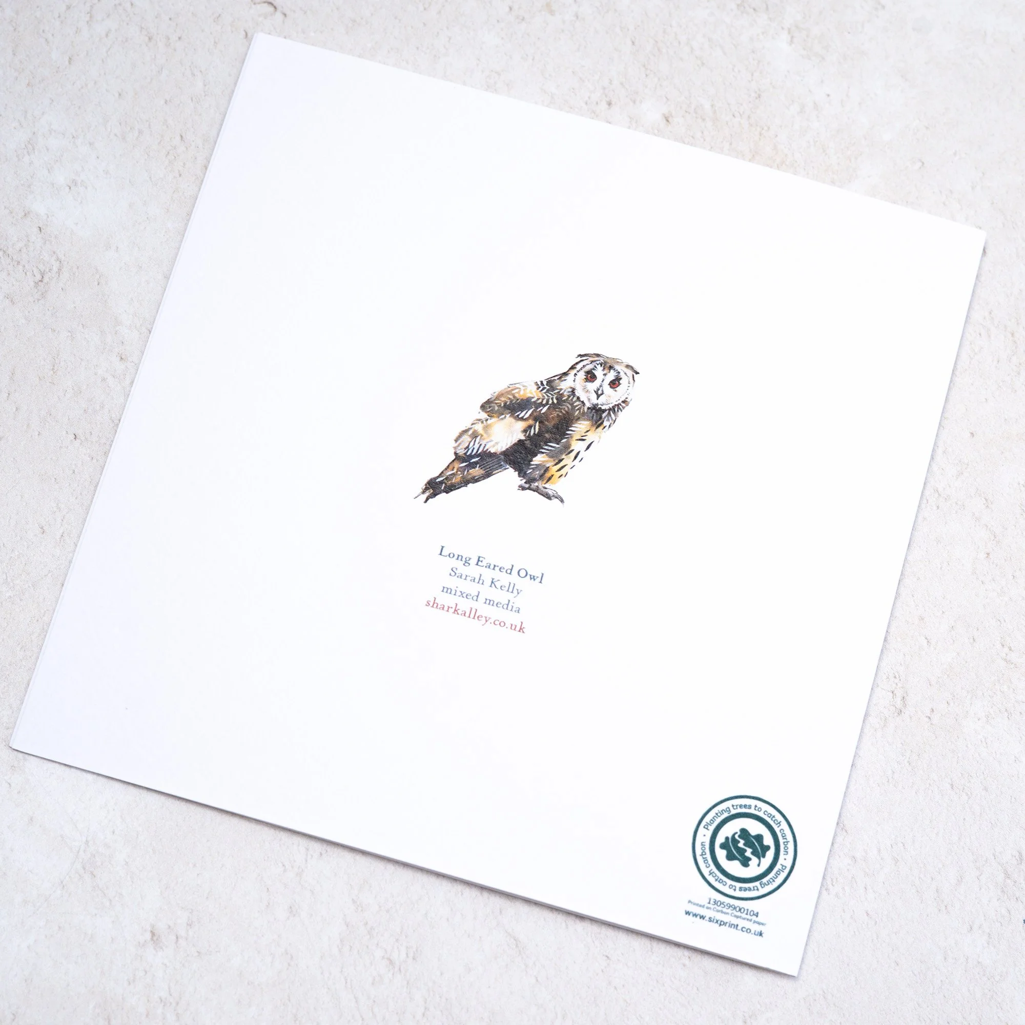 Shark Alley Long Eared Owl 2 Greetings Card 4.jpg