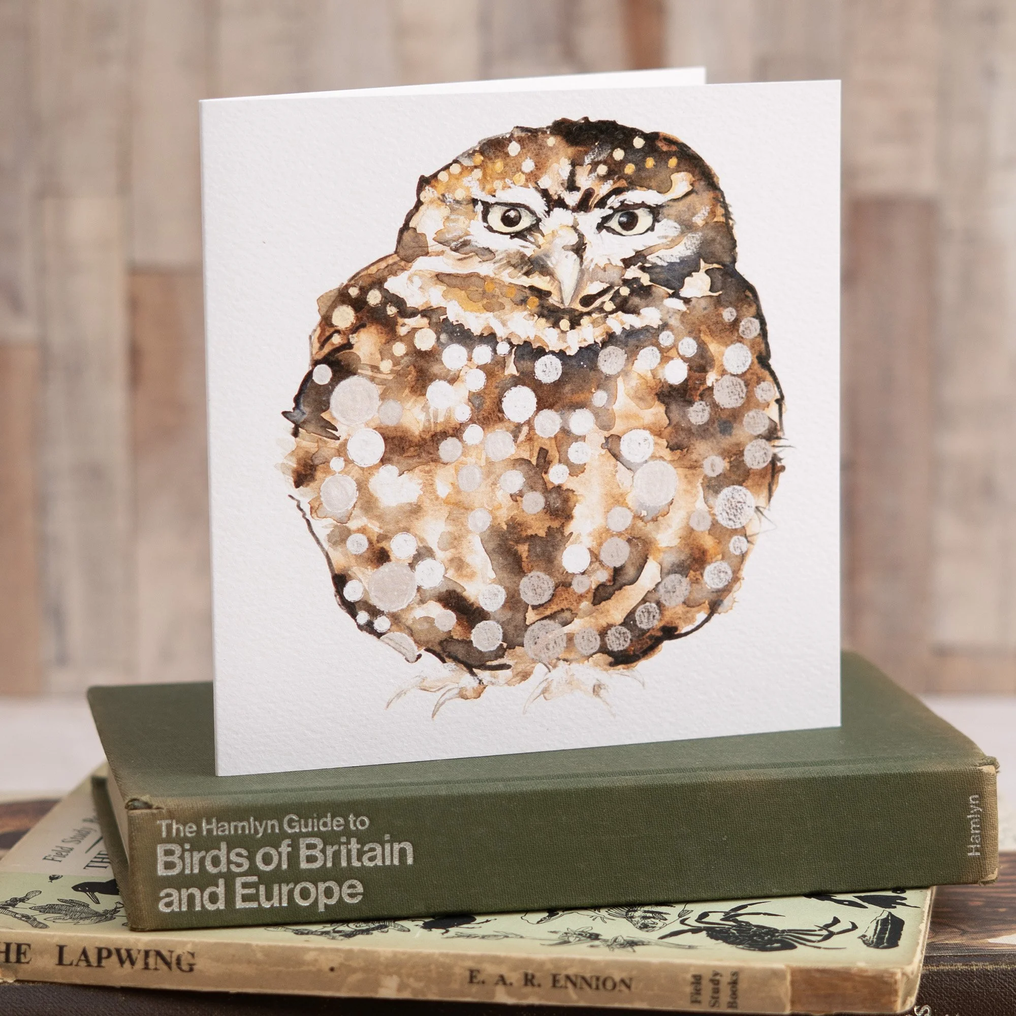 Shark Alley Little Owl Greetings Card 2a.jpg