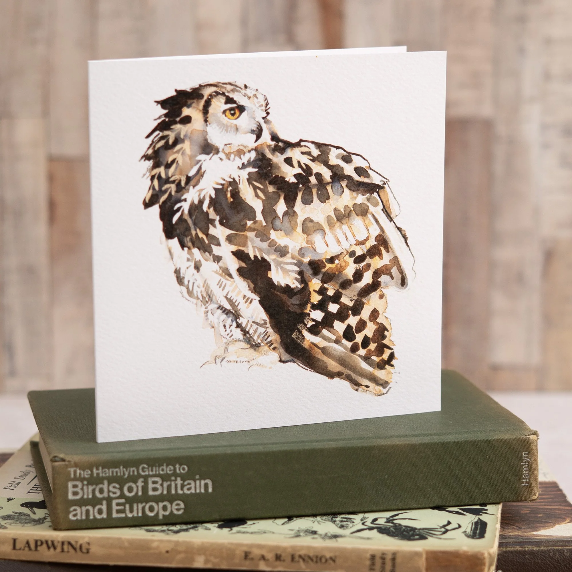 Shark Alley Eagle Owl Greetings Card 2.jpg