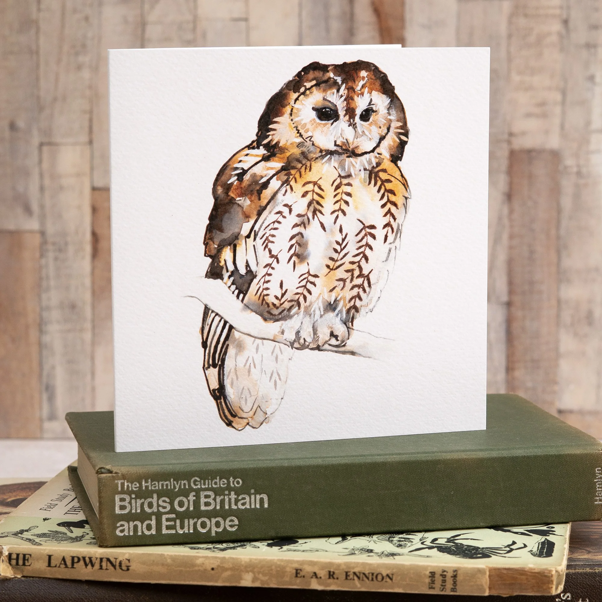 Shark Alley Tawny Owl Greetings Card 2.jpg