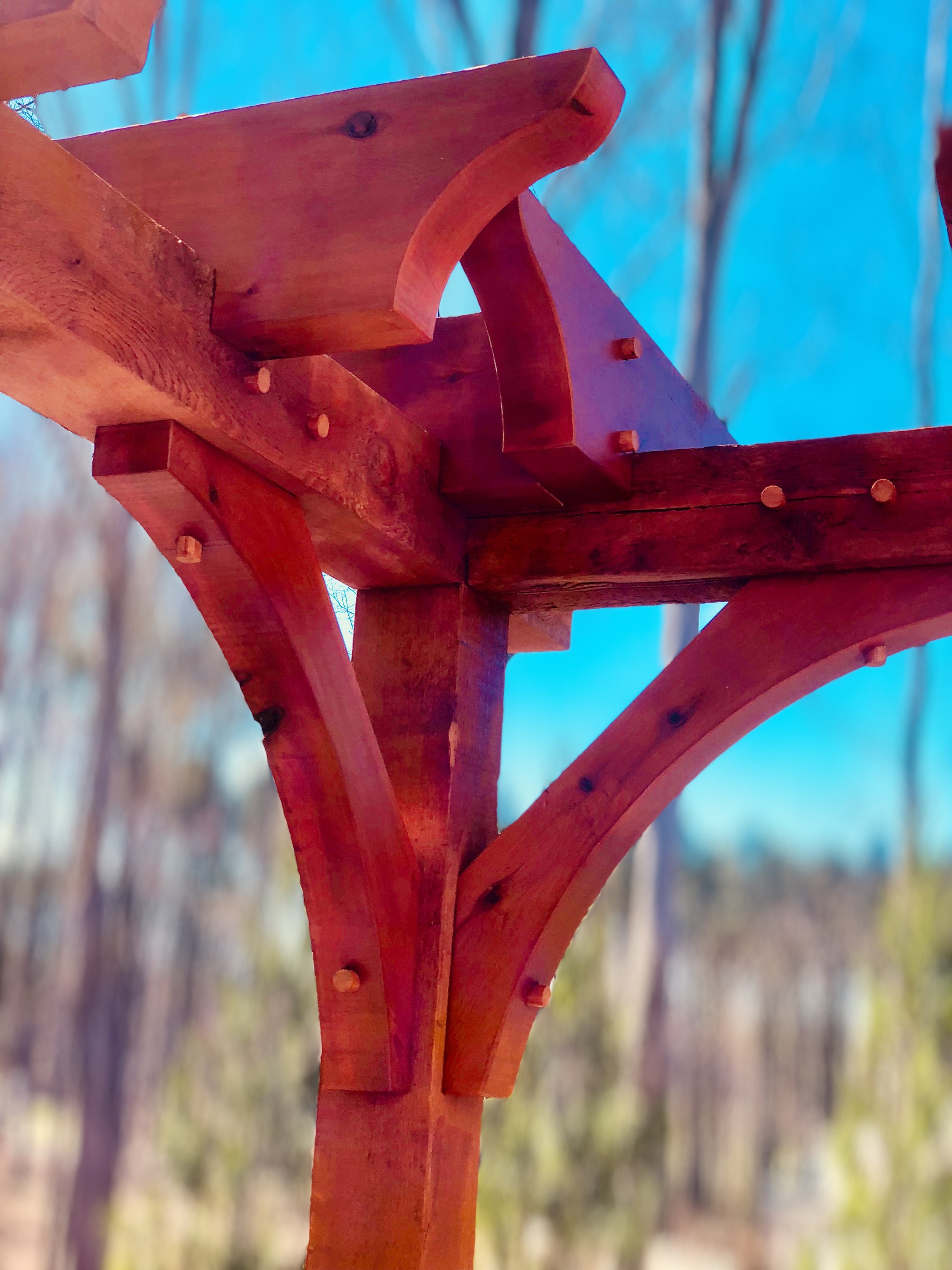 Close-up of a wooden structure, possibly part of a fence or furniture, with a blue sky and blurred trees in the background.