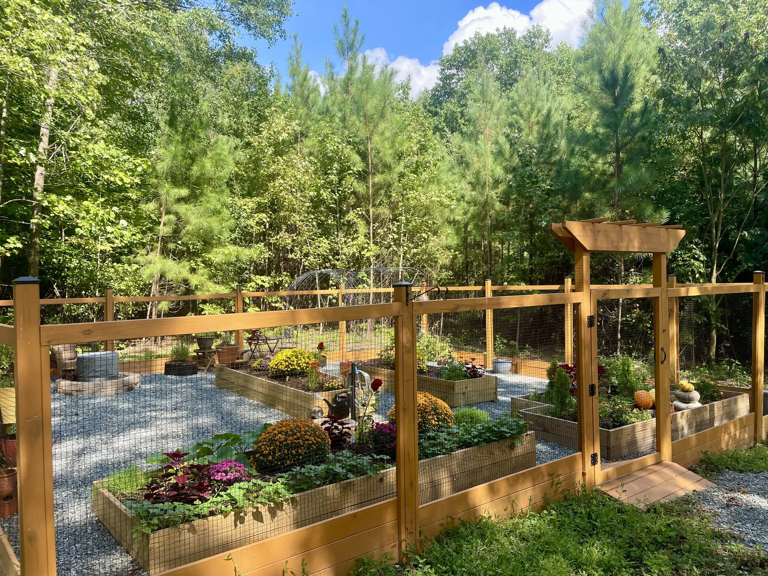 A backyard garden with a wooden fence, raised garden beds with blooming flowers, a small wheelbarrow, and a wooded area in the background under a bright blue sky with some clouds.