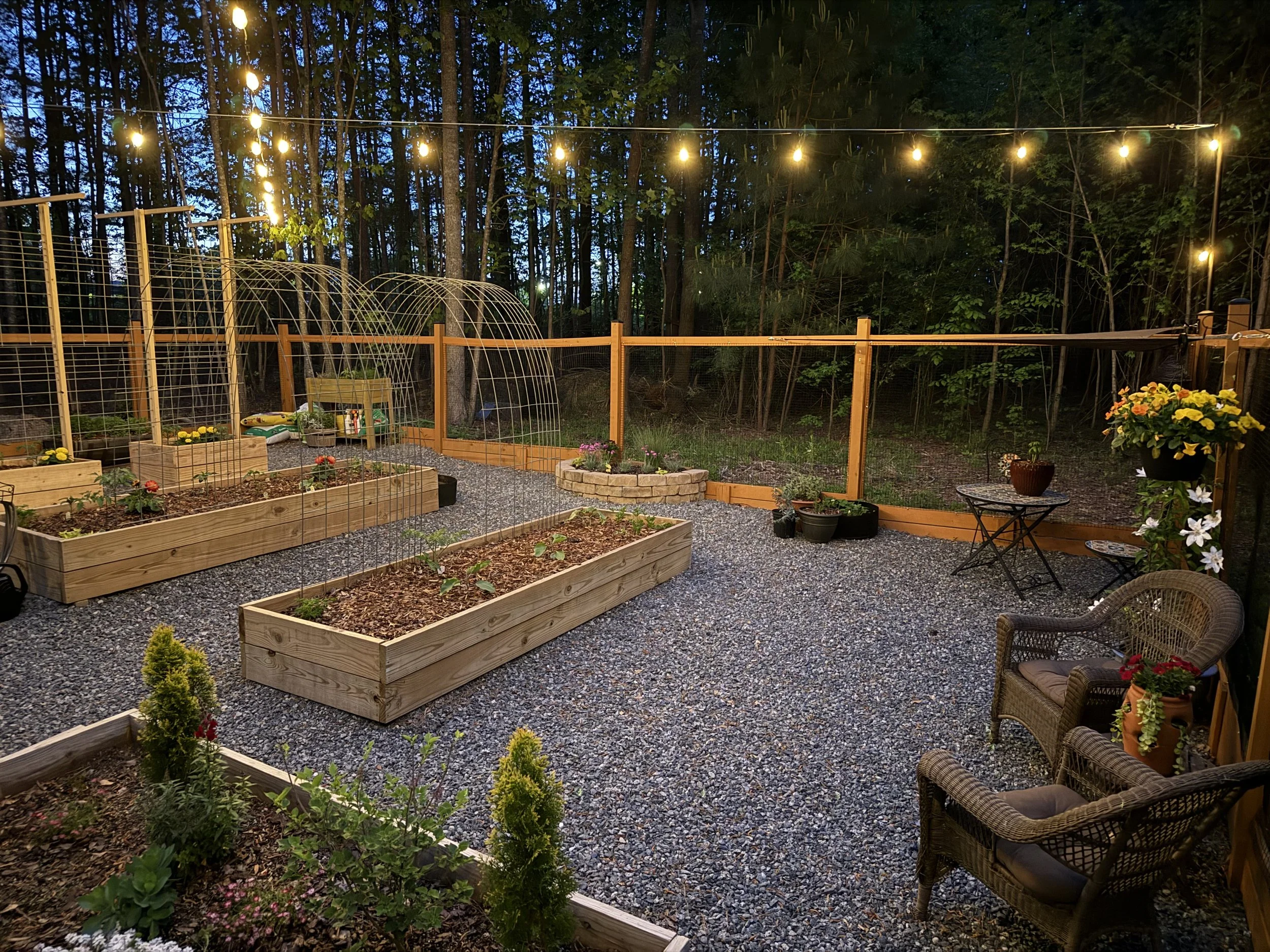 Backyard garden at dusk with string lights overhead, garden beds with plants, a small table with flowers, and patio chairs surrounded by trees.