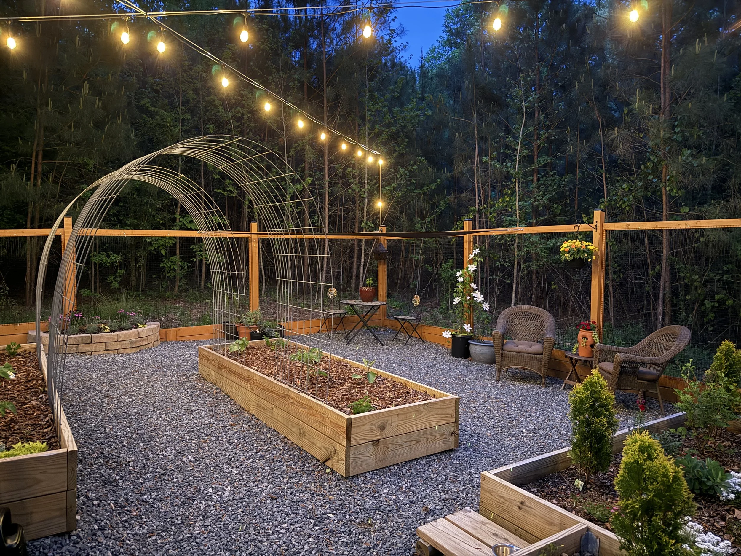 A backyard garden during the evening with string lights, a wooden fence, a garden bed with plants, outdoor seating, and surrounding trees.