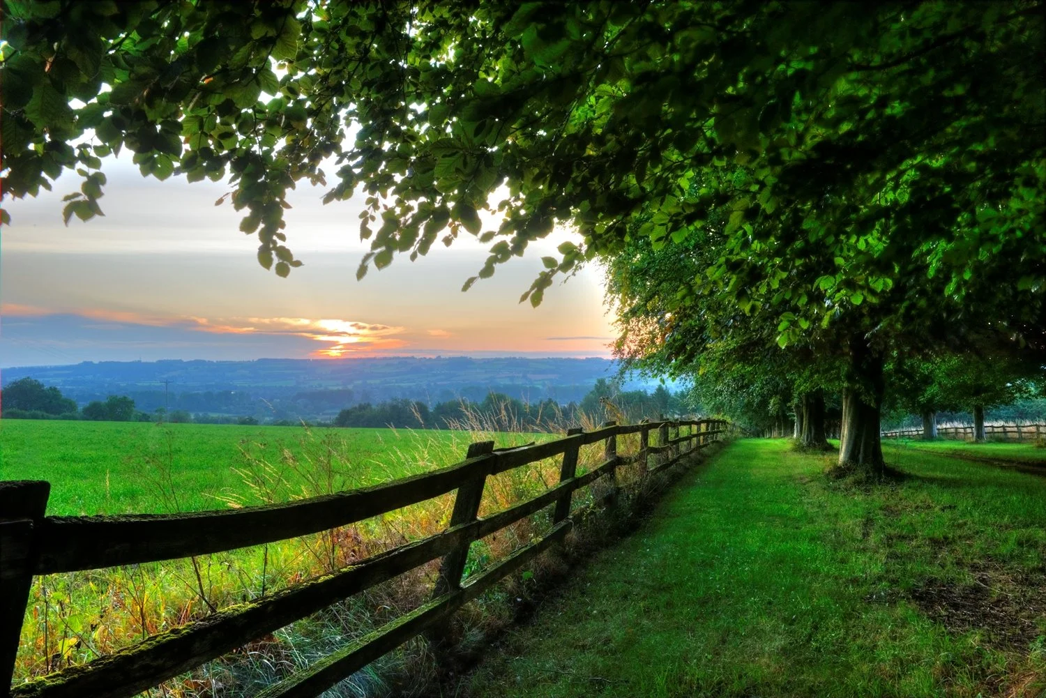 Cotswolds