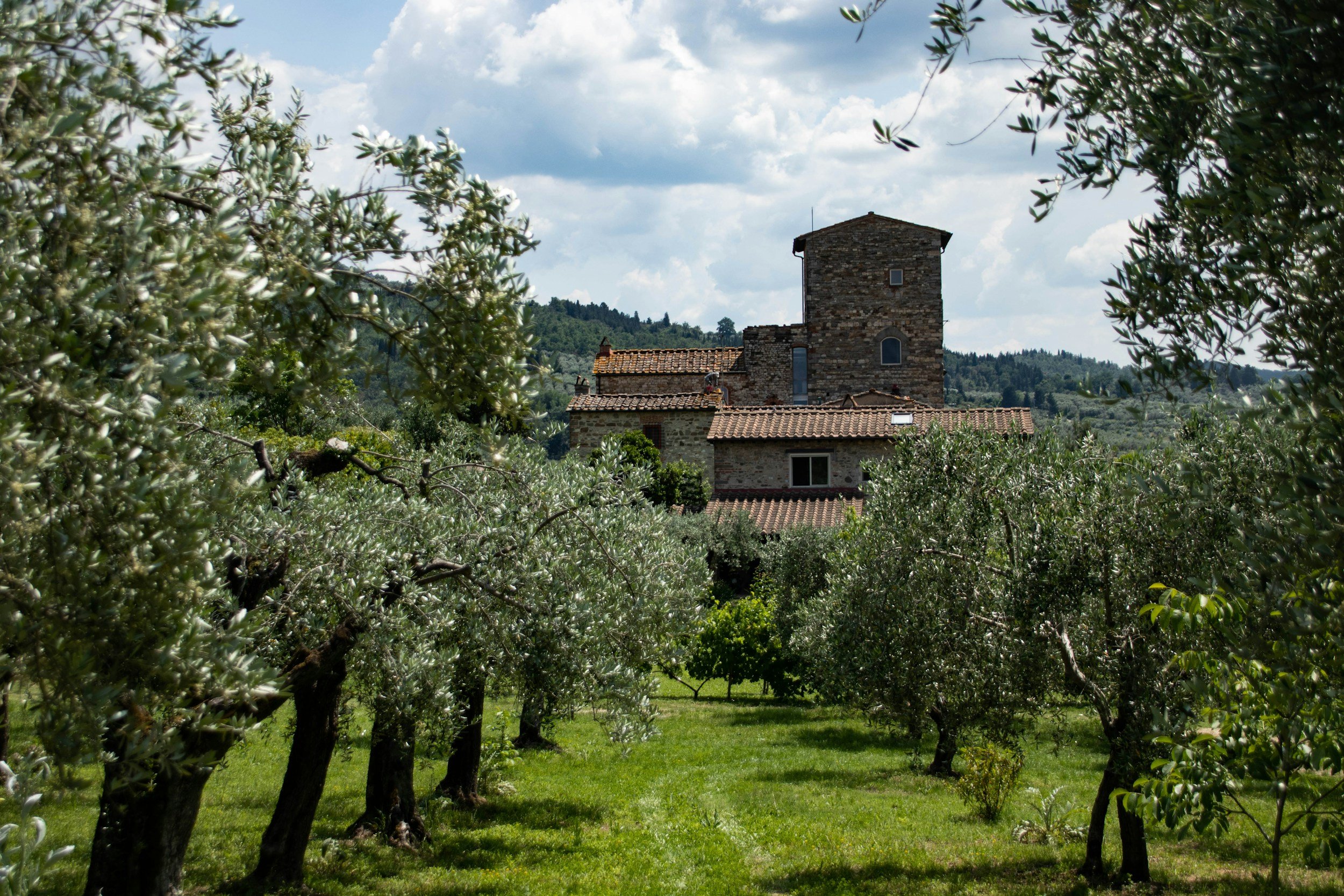 A rustic stone tower and buildings surrounded by a lush orchard of olive trees under a partly cloudy sky.