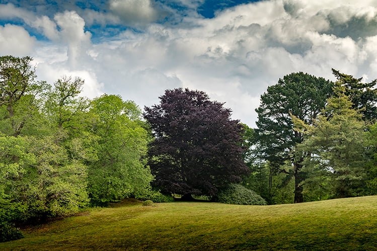 hp-pleasure-grounds.jpg
