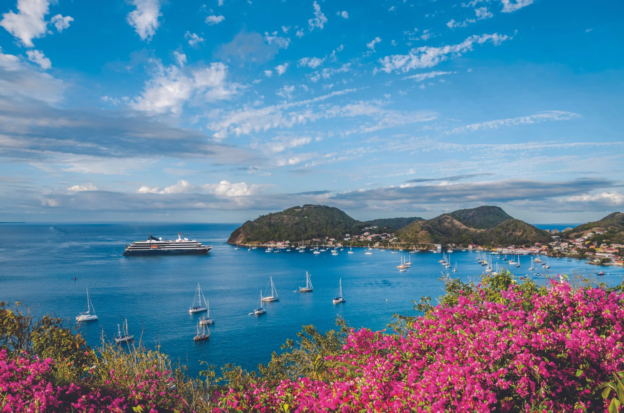 A harbor with sailboats and a cruise ship, surrounded by green hills and colorful flowers in the foreground under a blue sky with scattered clouds.