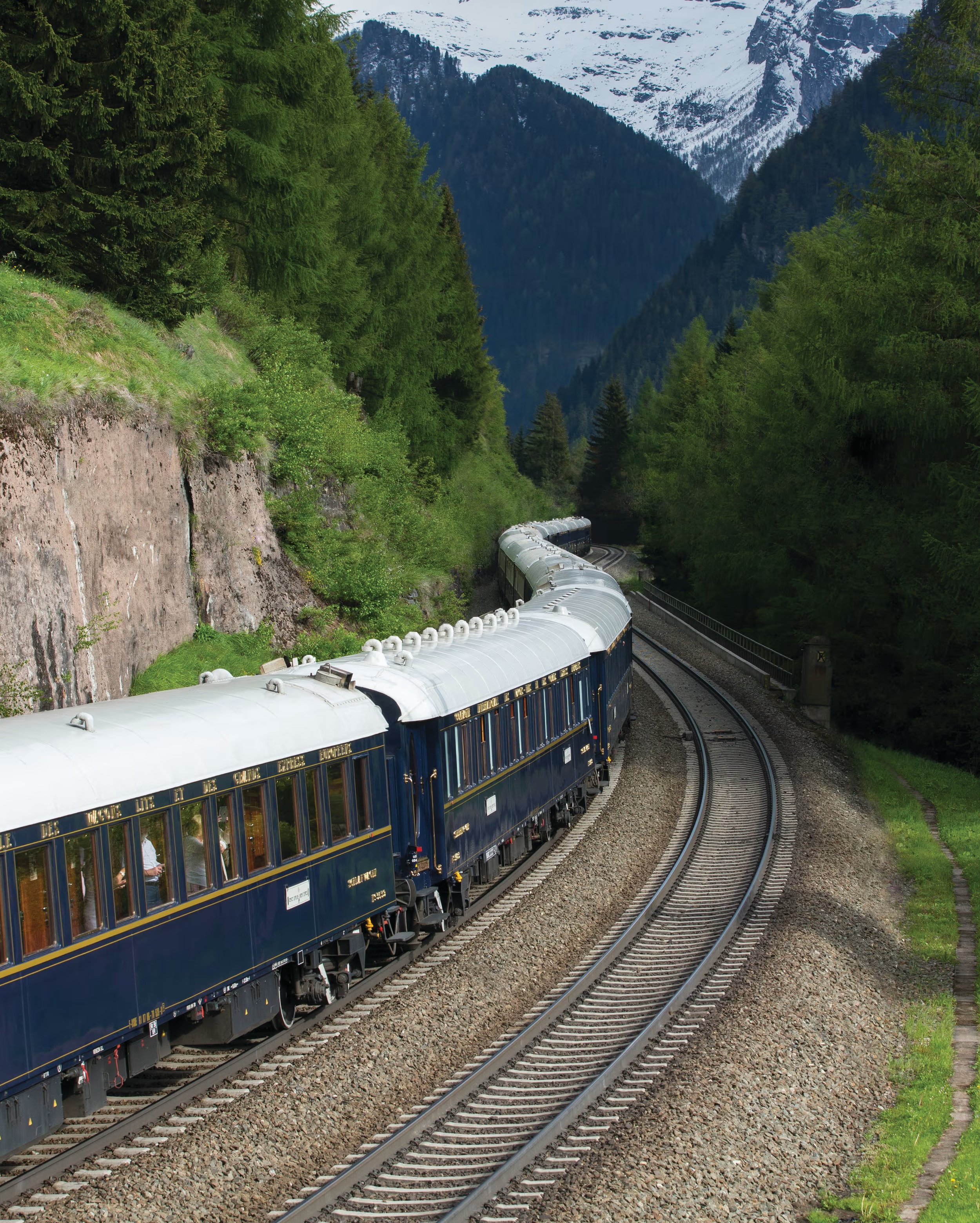 A scenic view of a mountain train traveling through a lush green forest with snow-capped mountains in the background.