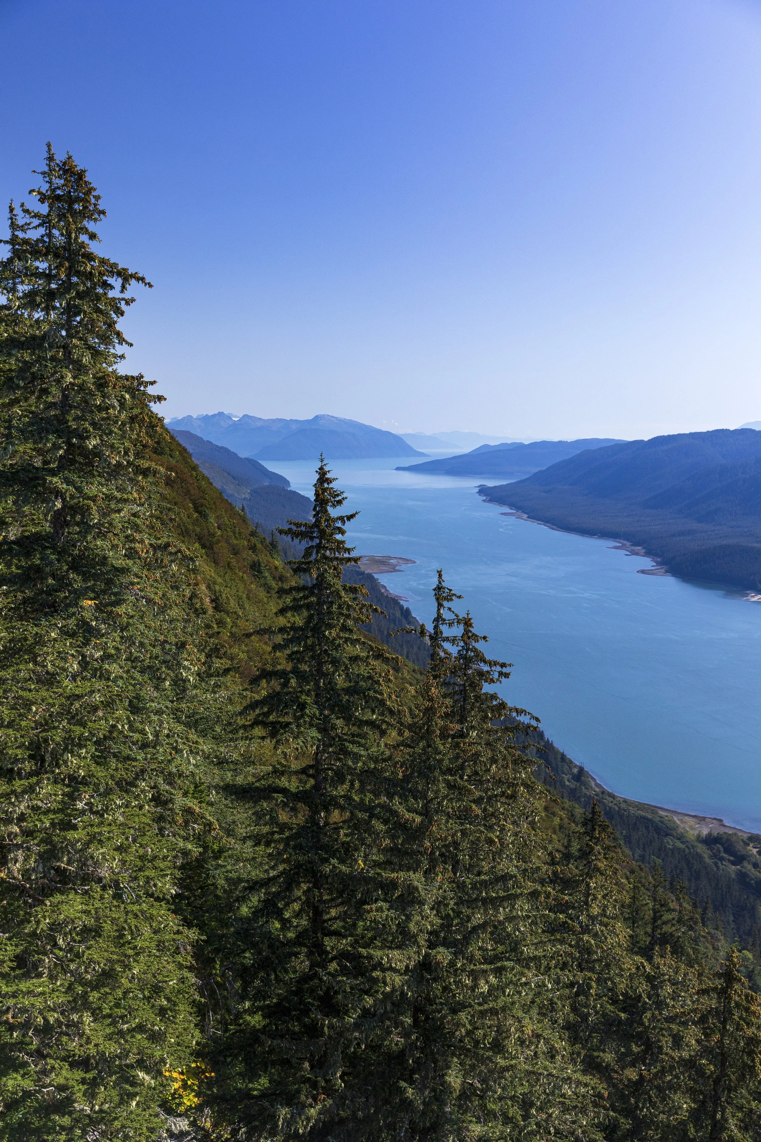 View of a large body of water surrounded by forested mountains and a clear blue sky.