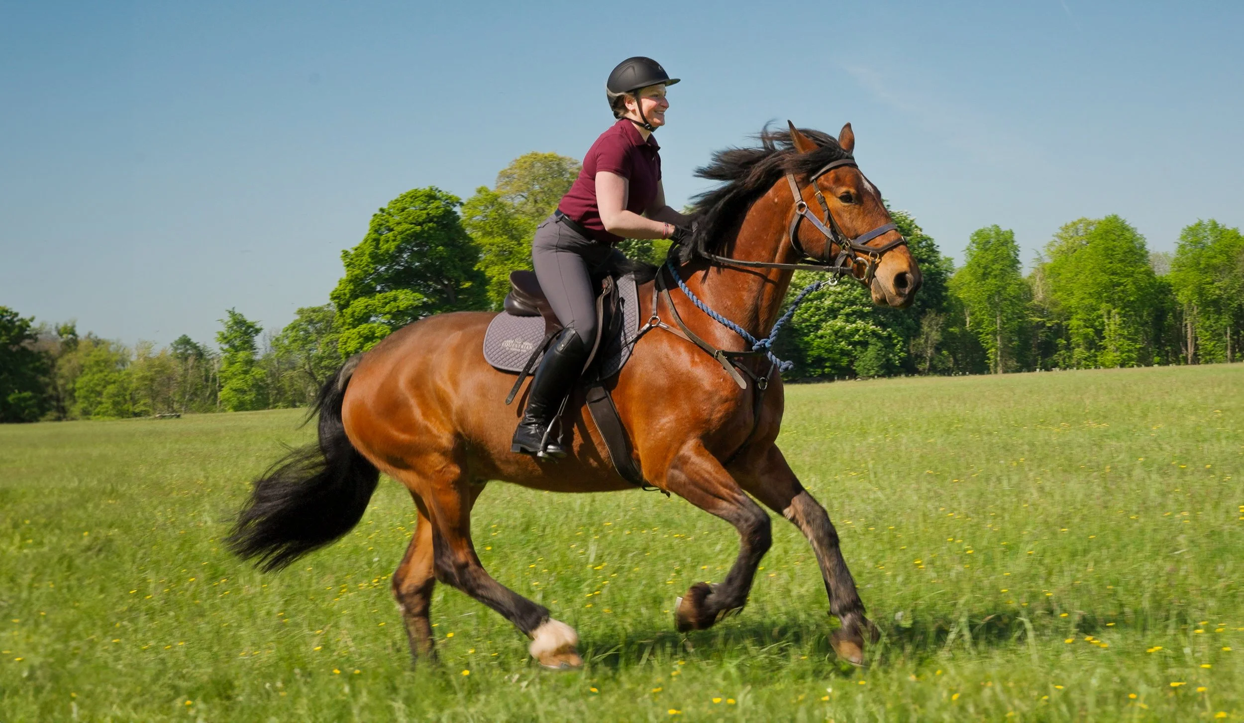 EQ riding.jpg