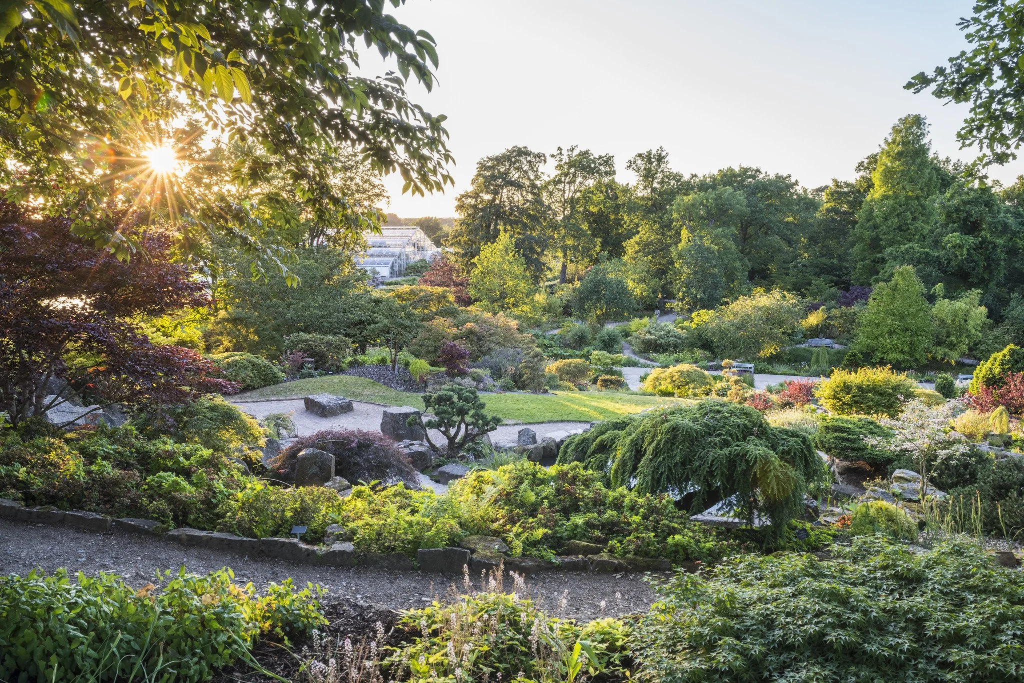 RHS Gardn Wisley