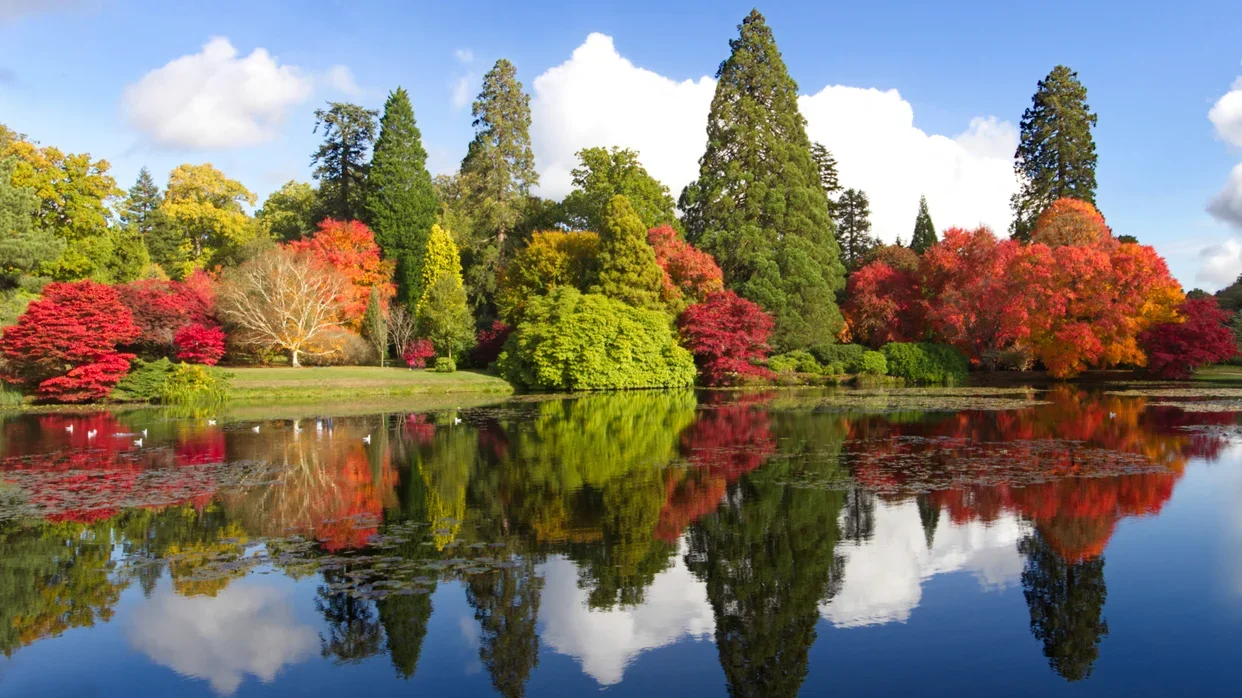 SHEFFIELD national-trust-images-laurence-perry-autumn-colour.webp