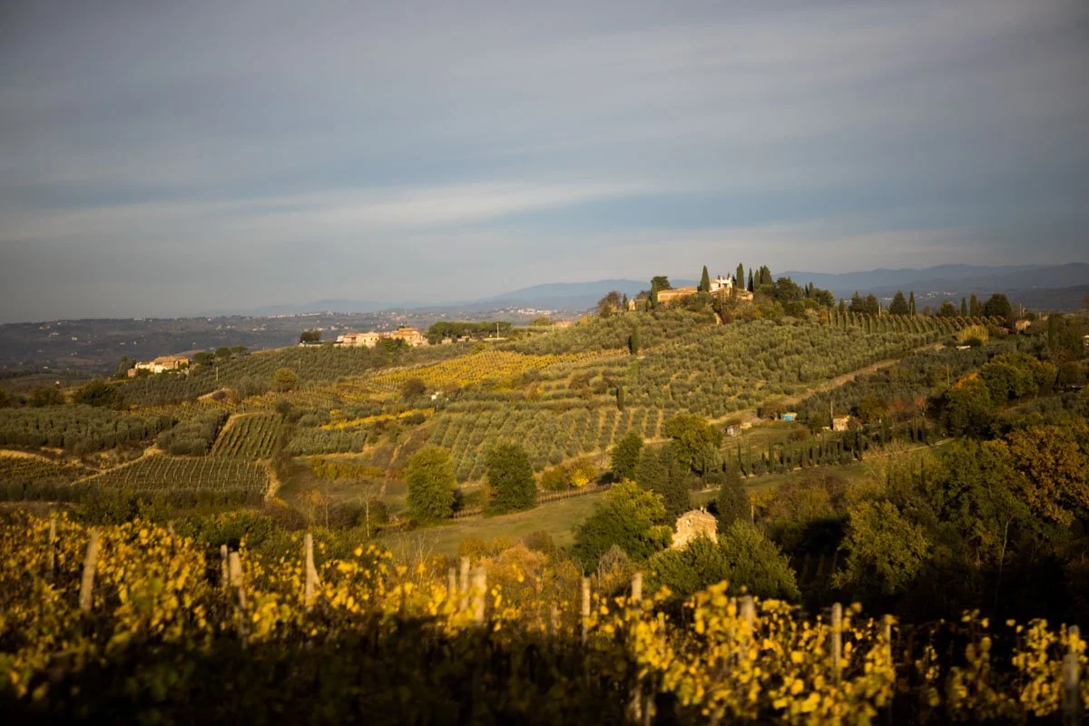 Scenic view of rolling hills with vineyards and cypress trees, possibly in Italy, under a cloudy sky.