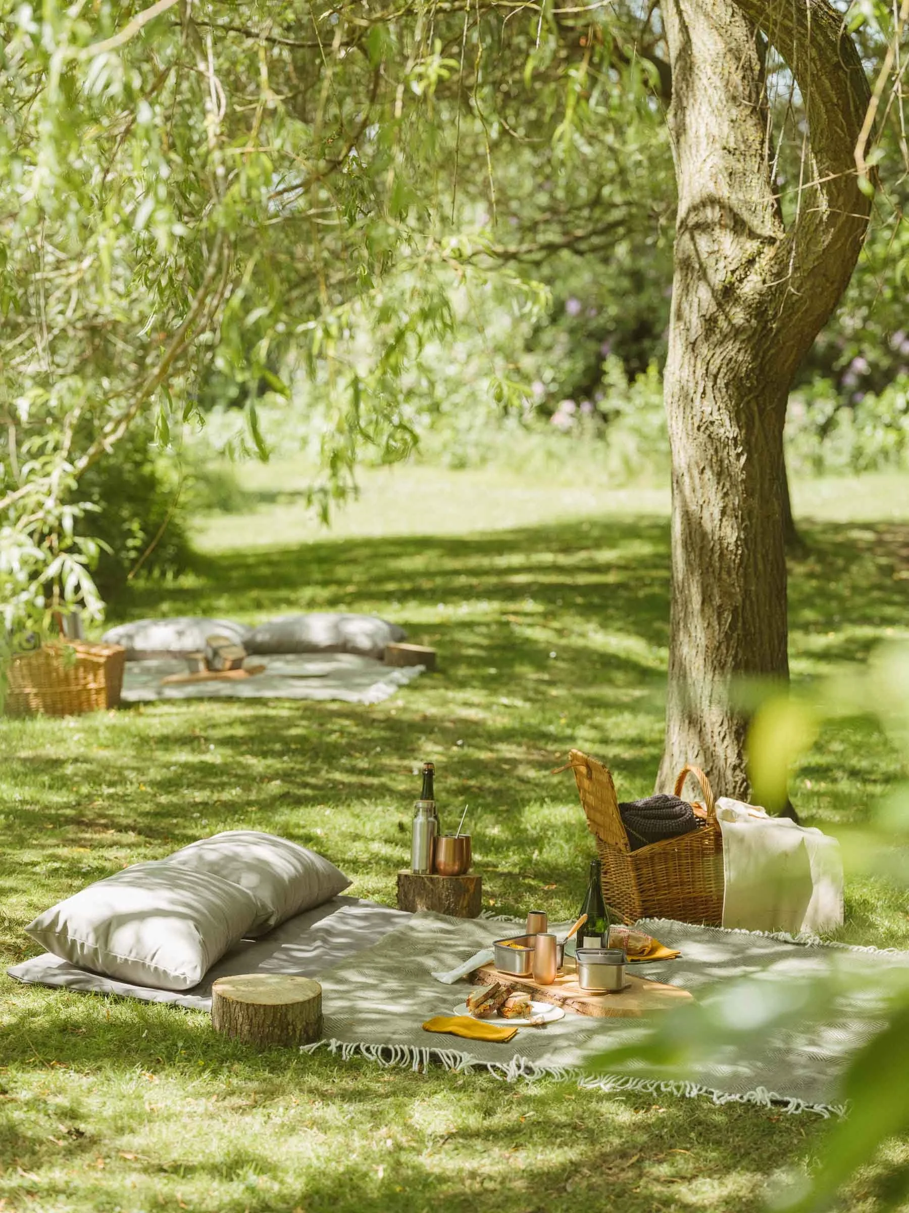 hp_picnics_3-4.jpg