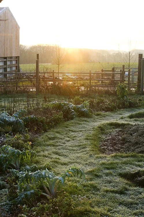 hp_market_garden_15-6 winter.jpg
