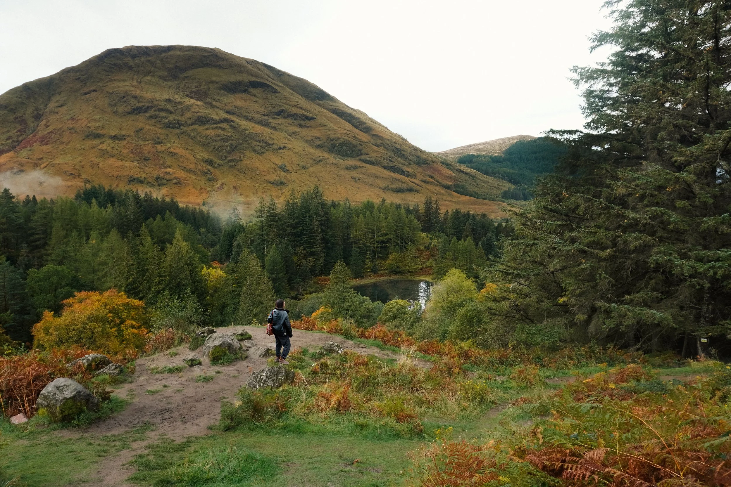 glencoe2.jpg
