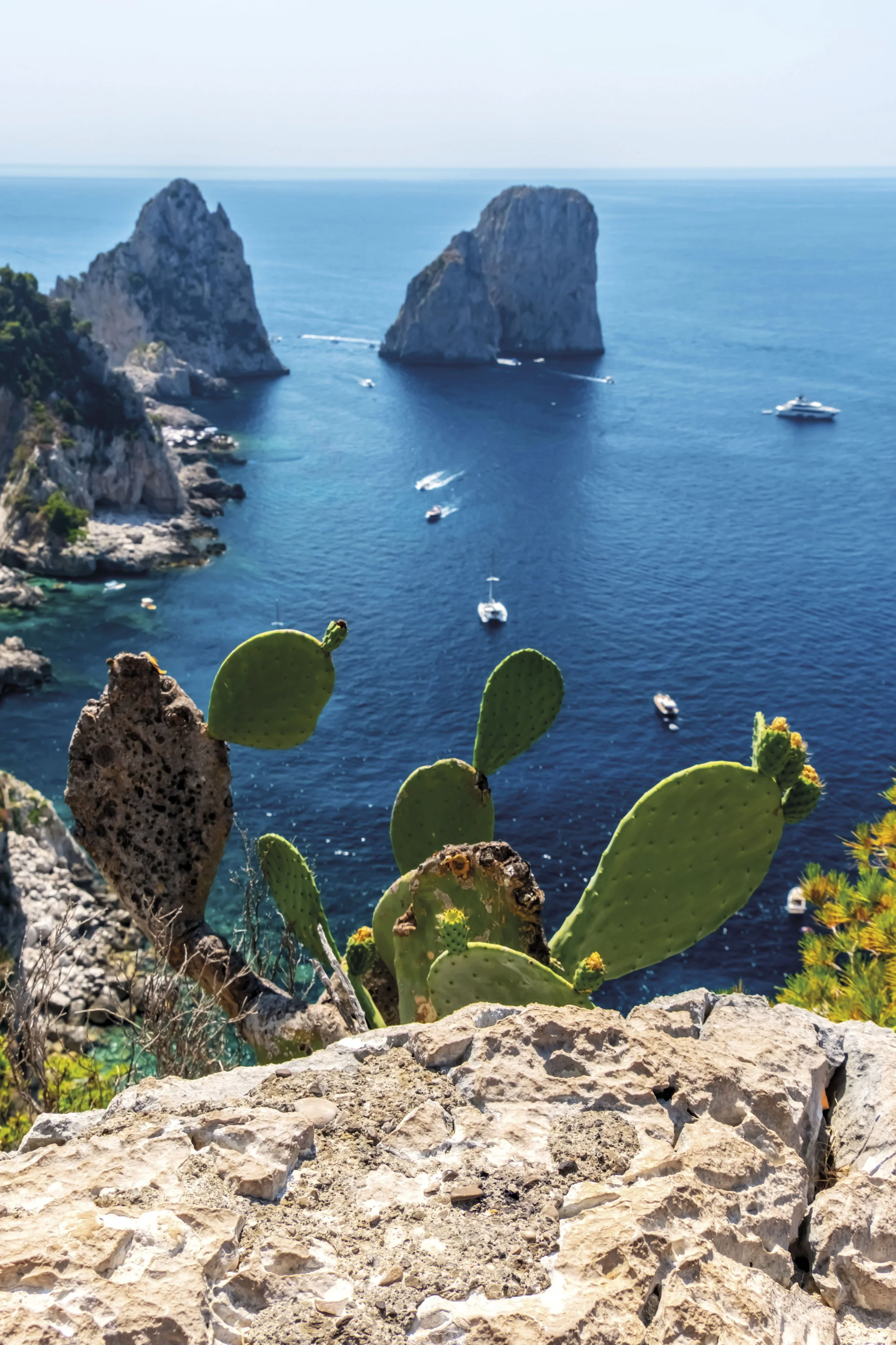 Prickly pear cactus with yellow flowers on rocky cliff overlooking blue sea with large rock formations and boats.