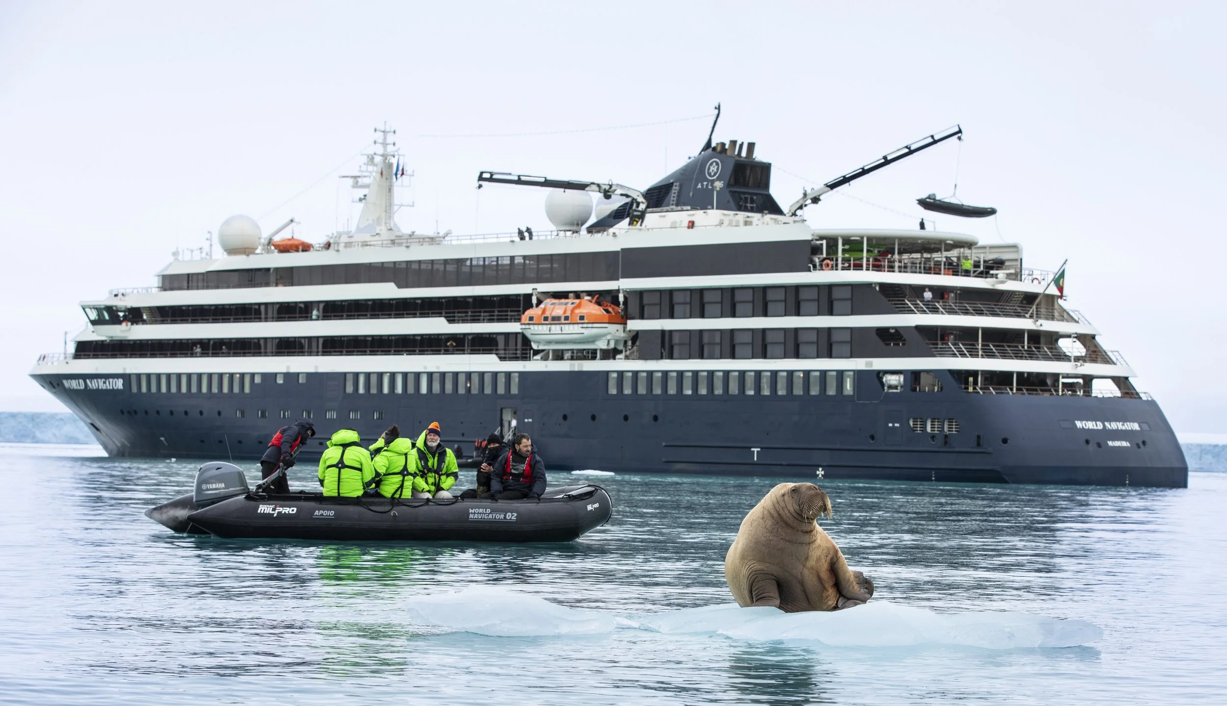Large cruise ship named "World Navigator" sailing in the ocean with rescue teams in small boats, and a sea lion sitting on the water in the foreground.