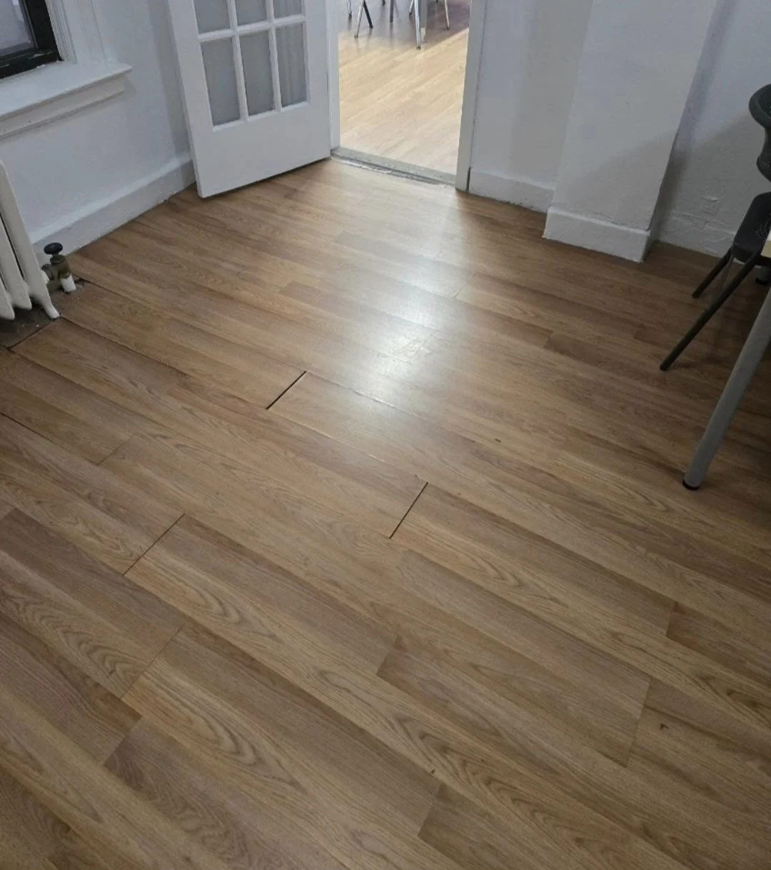 1000175344.jpg