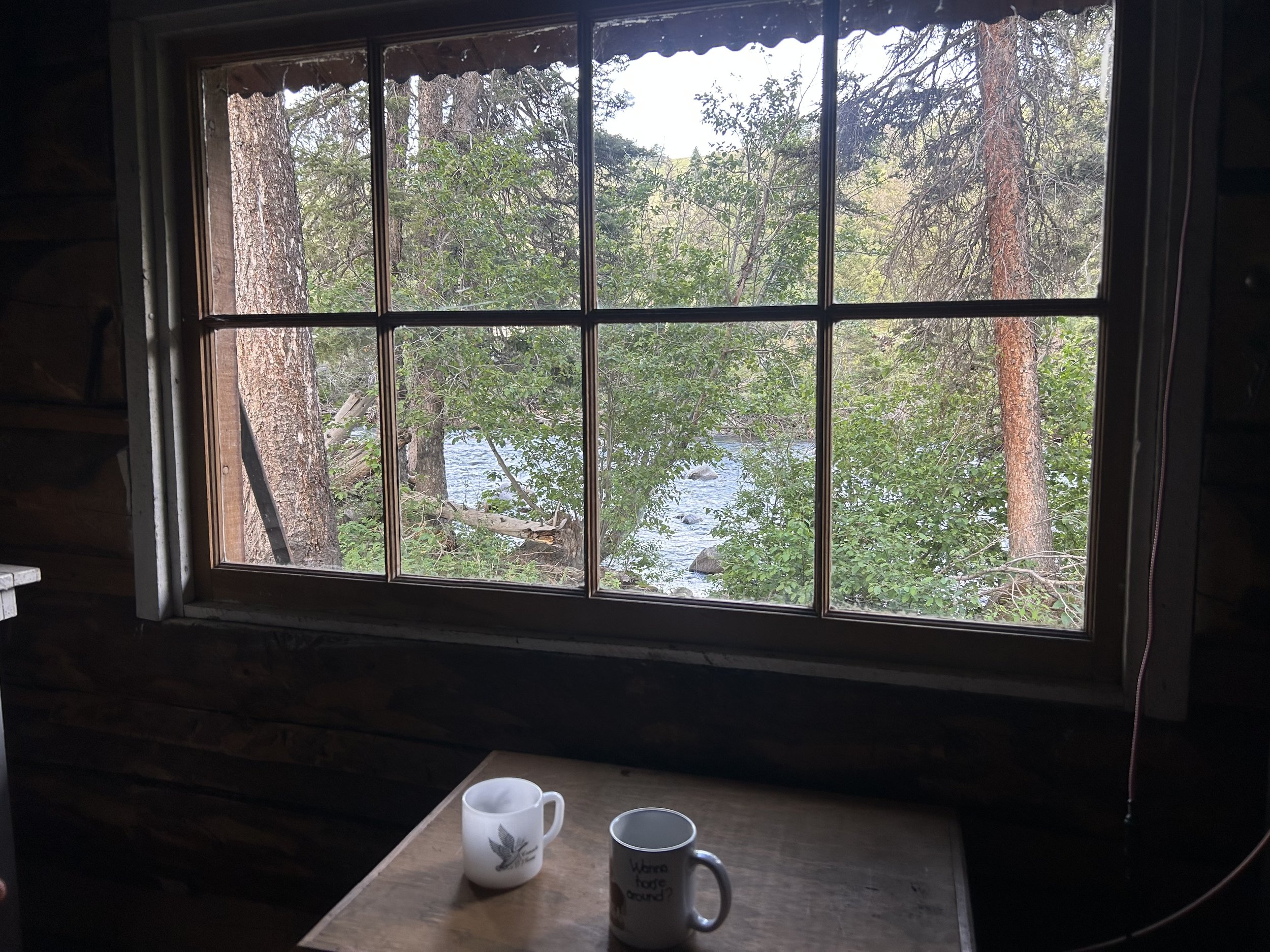 Coffee table with two mugs looking our at river and woods