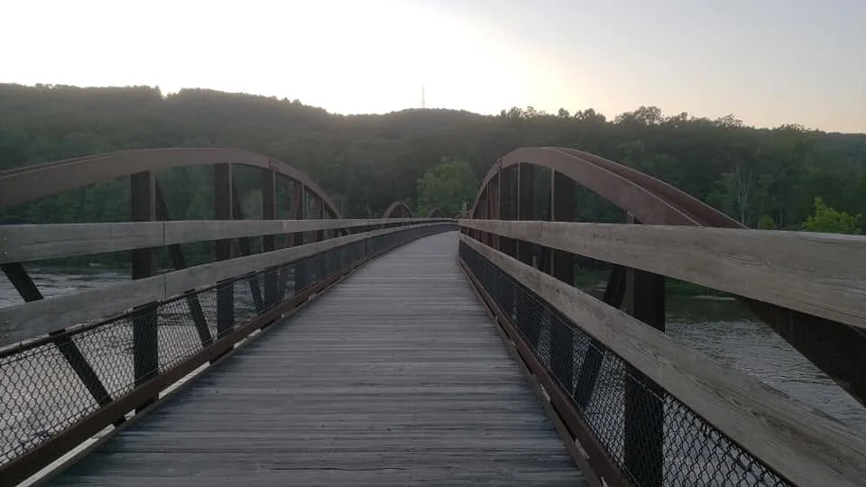Wooden bridge over water facing green forest