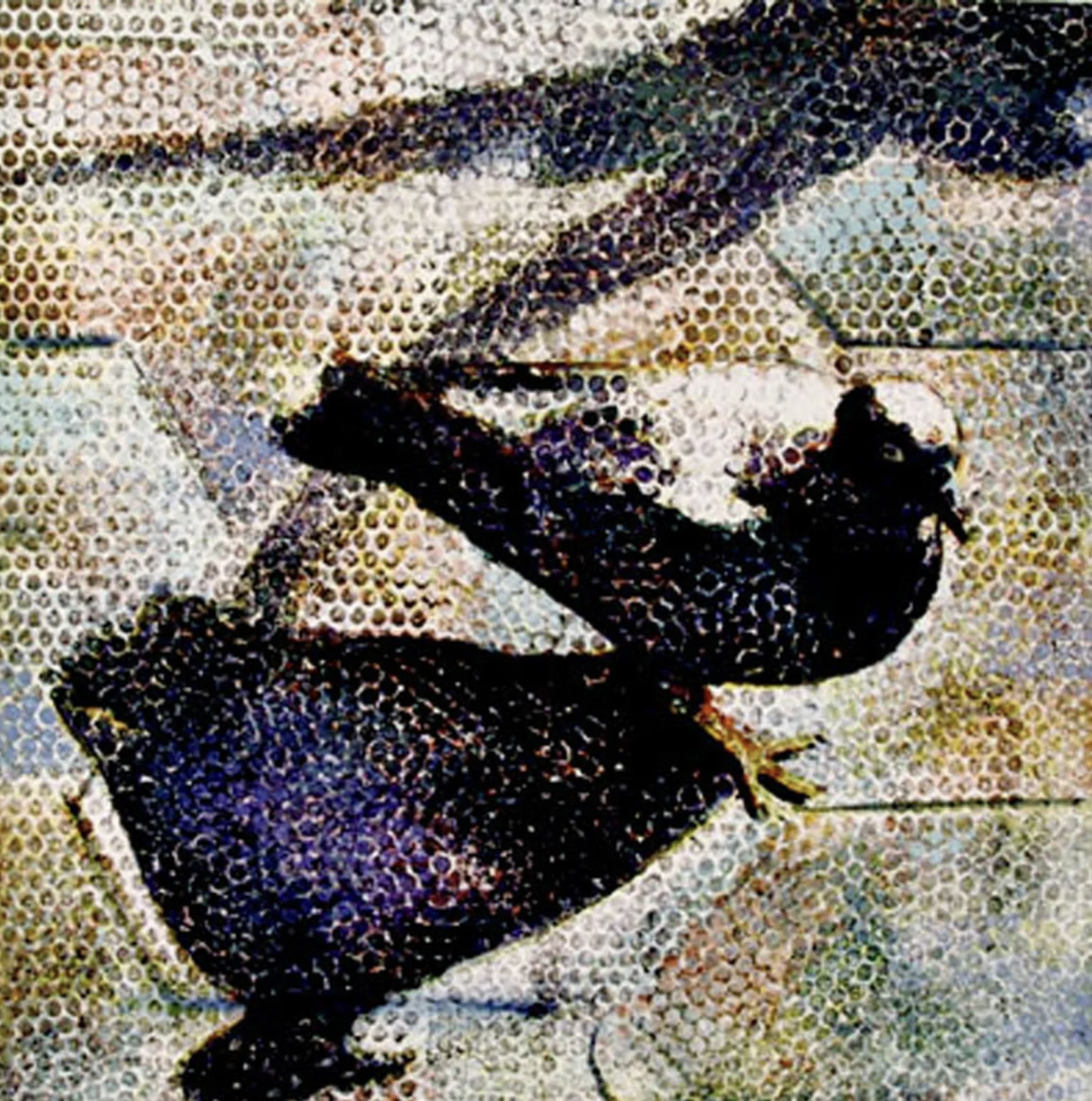 Pigeon Shadow, 1997
Oil on canvas, 24" x 24"