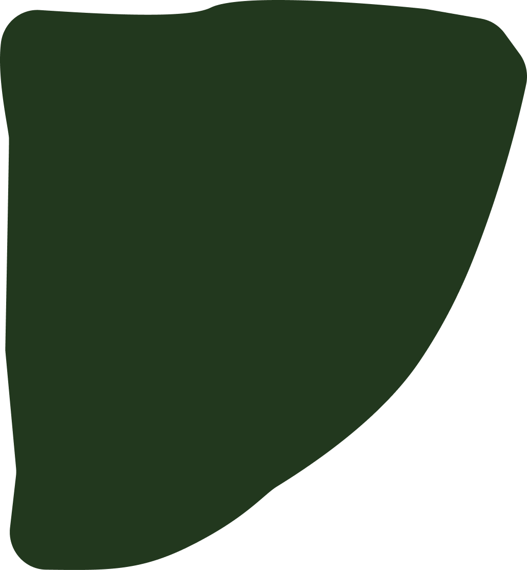 Dark green design shape.