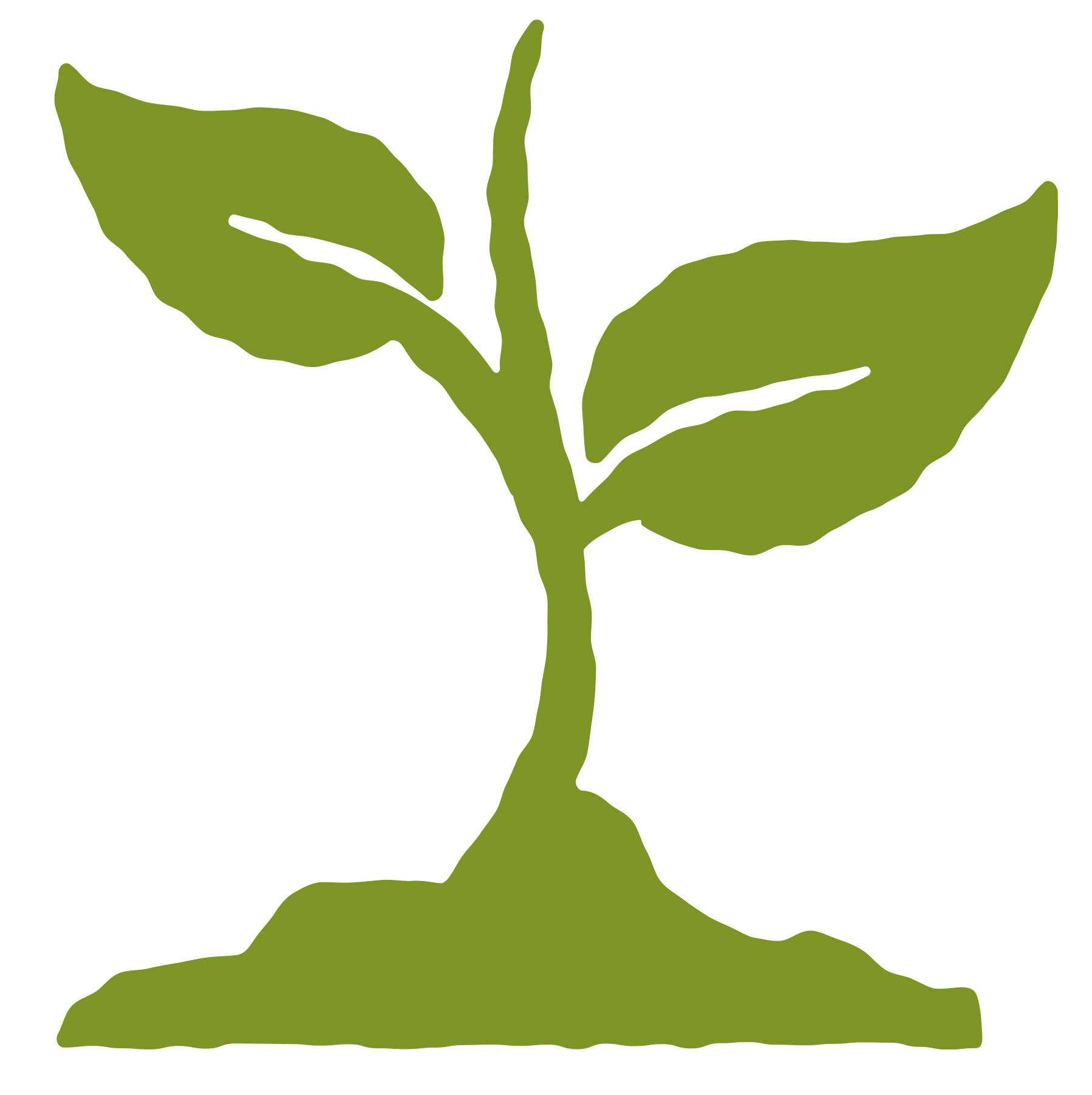 Illustration of a plant with green leaves and a stem.