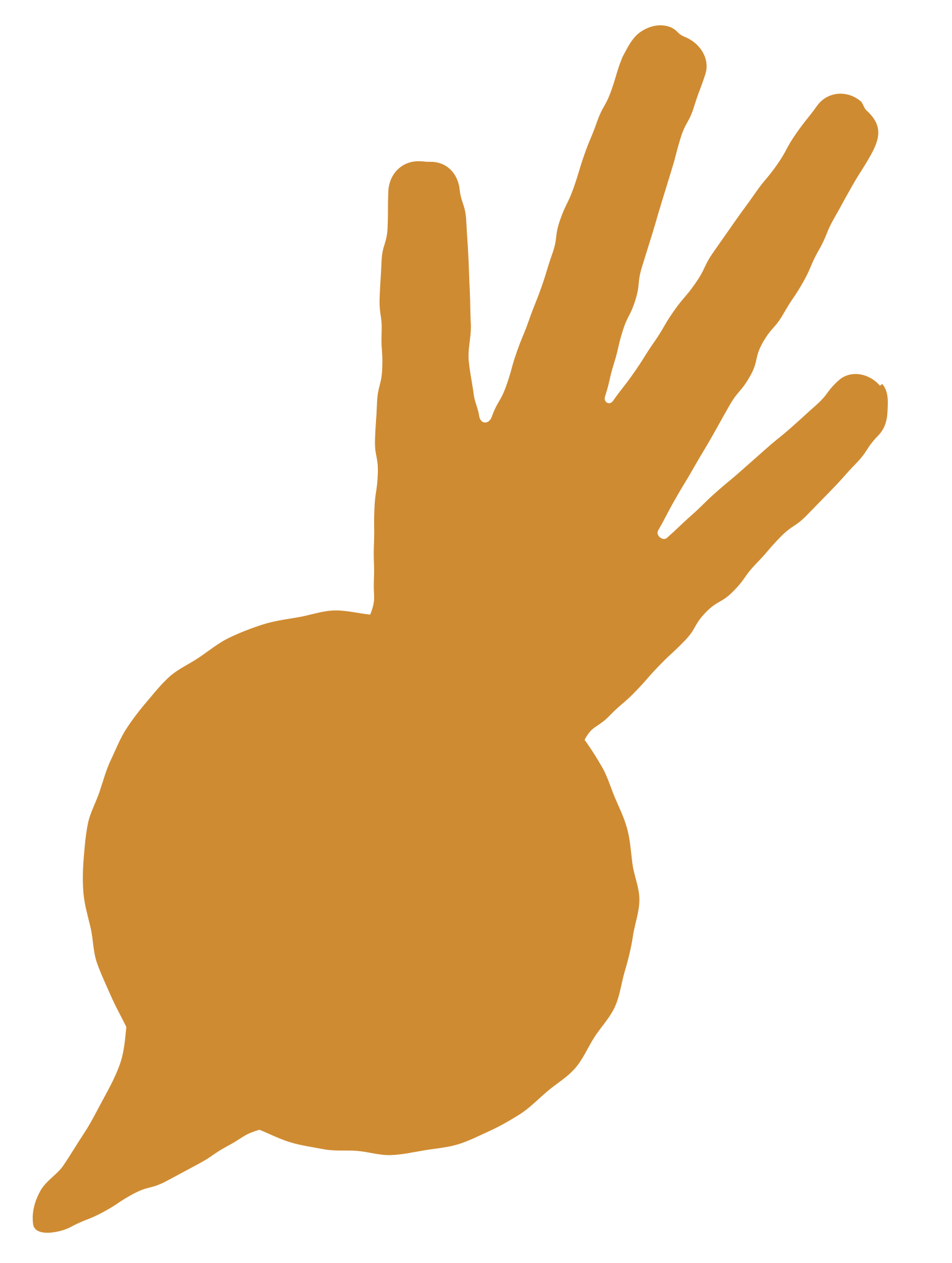 A digital illustration of a brown vegetable.