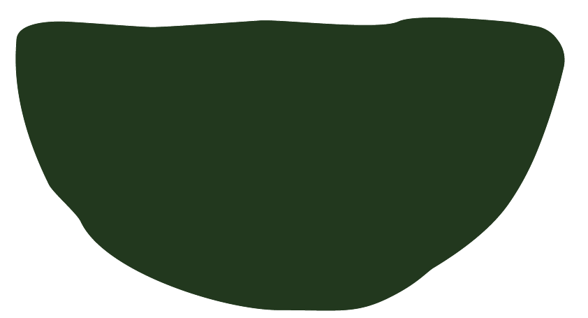 A dark green, semi-circular object, possibly a bowl or container.