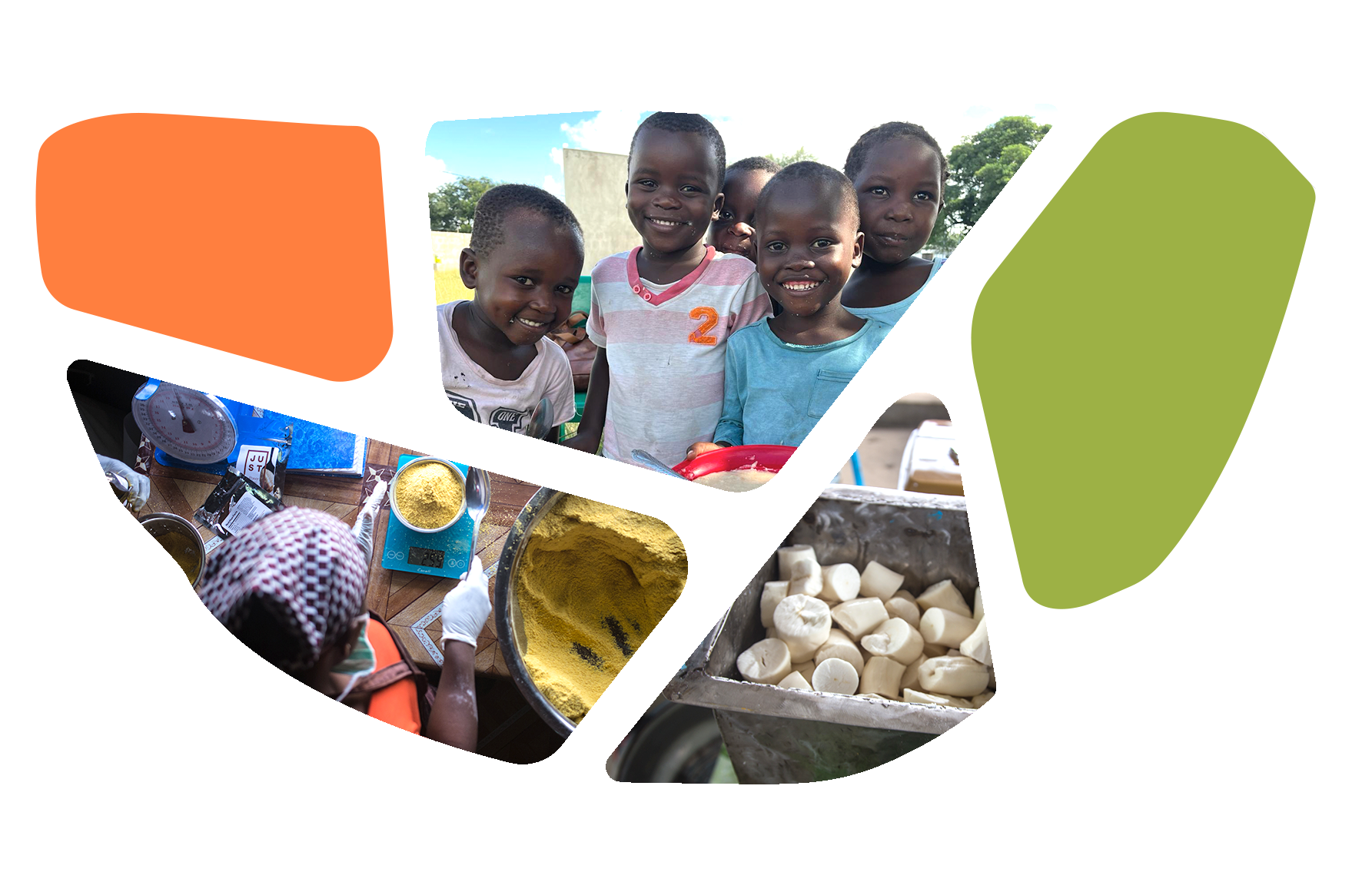 A collage of images showing children smiling outdoors, a person measuring yellow powder on a scale, and a tray filled with cut white vegetables.