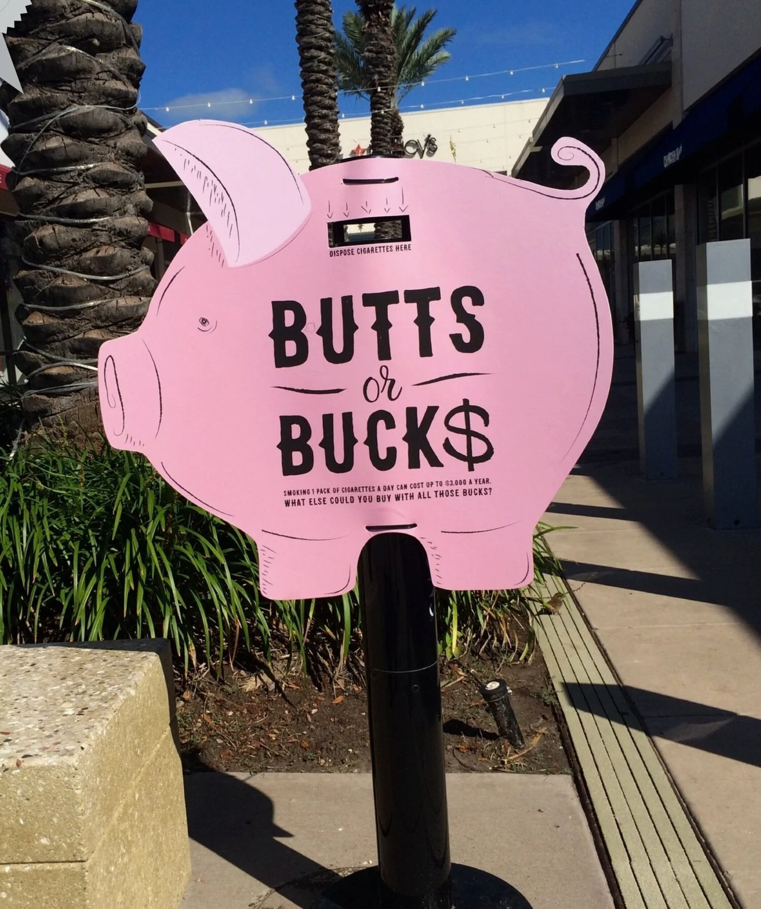 buttsorbucks_award-01.jpg