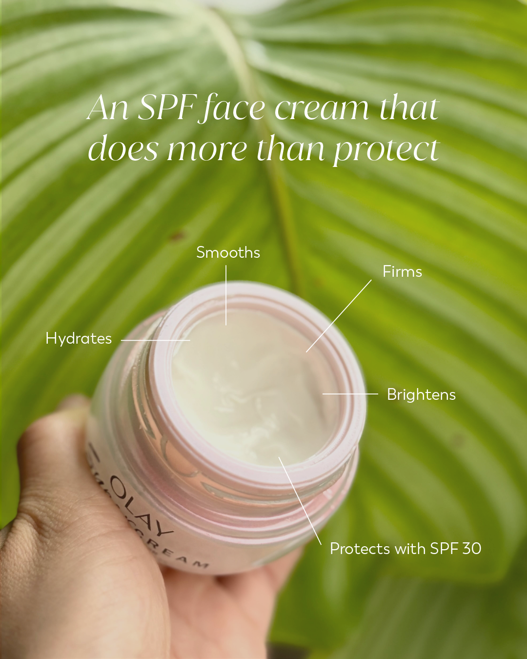 Super Cream Spotlight