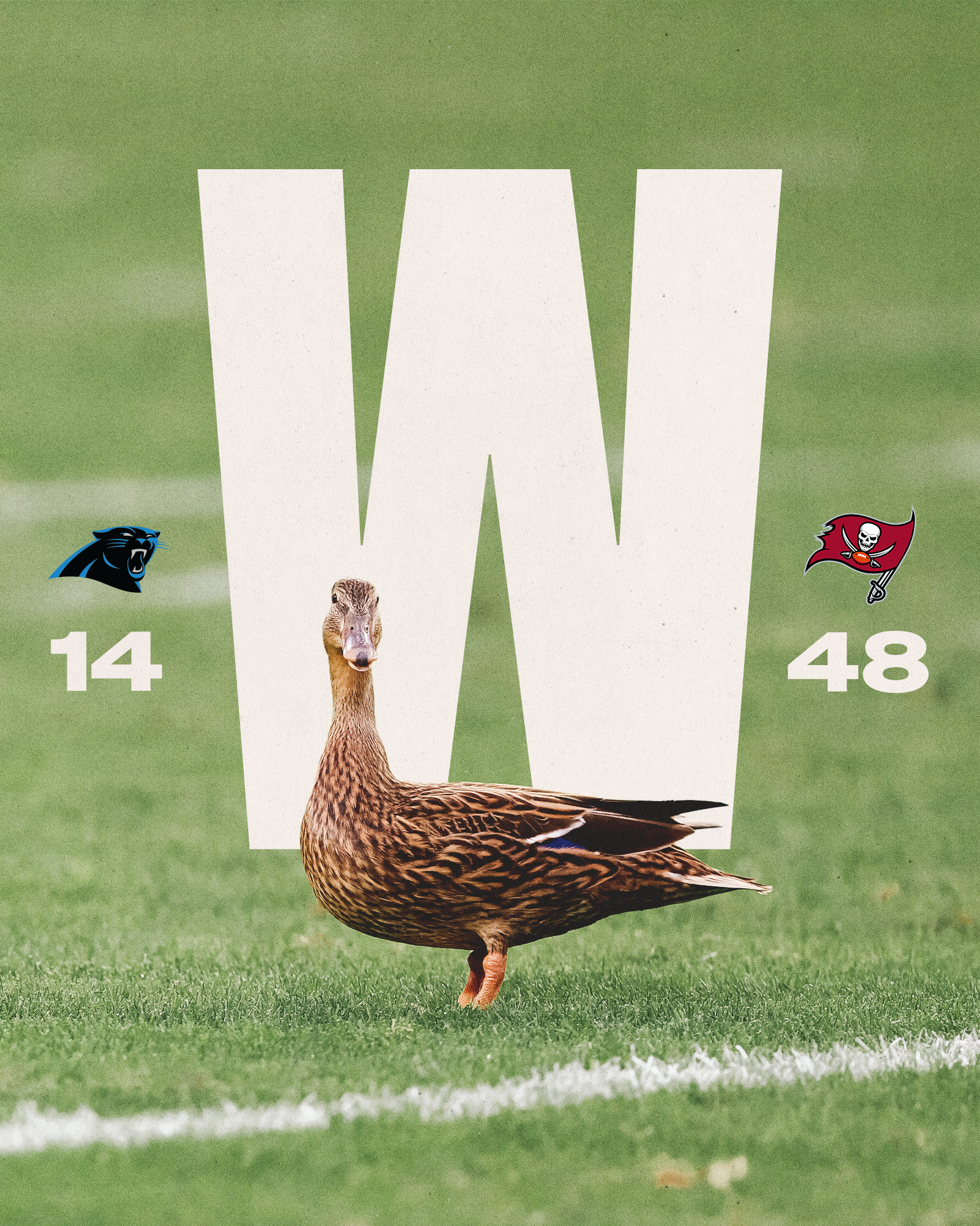 ducky win graphic.png