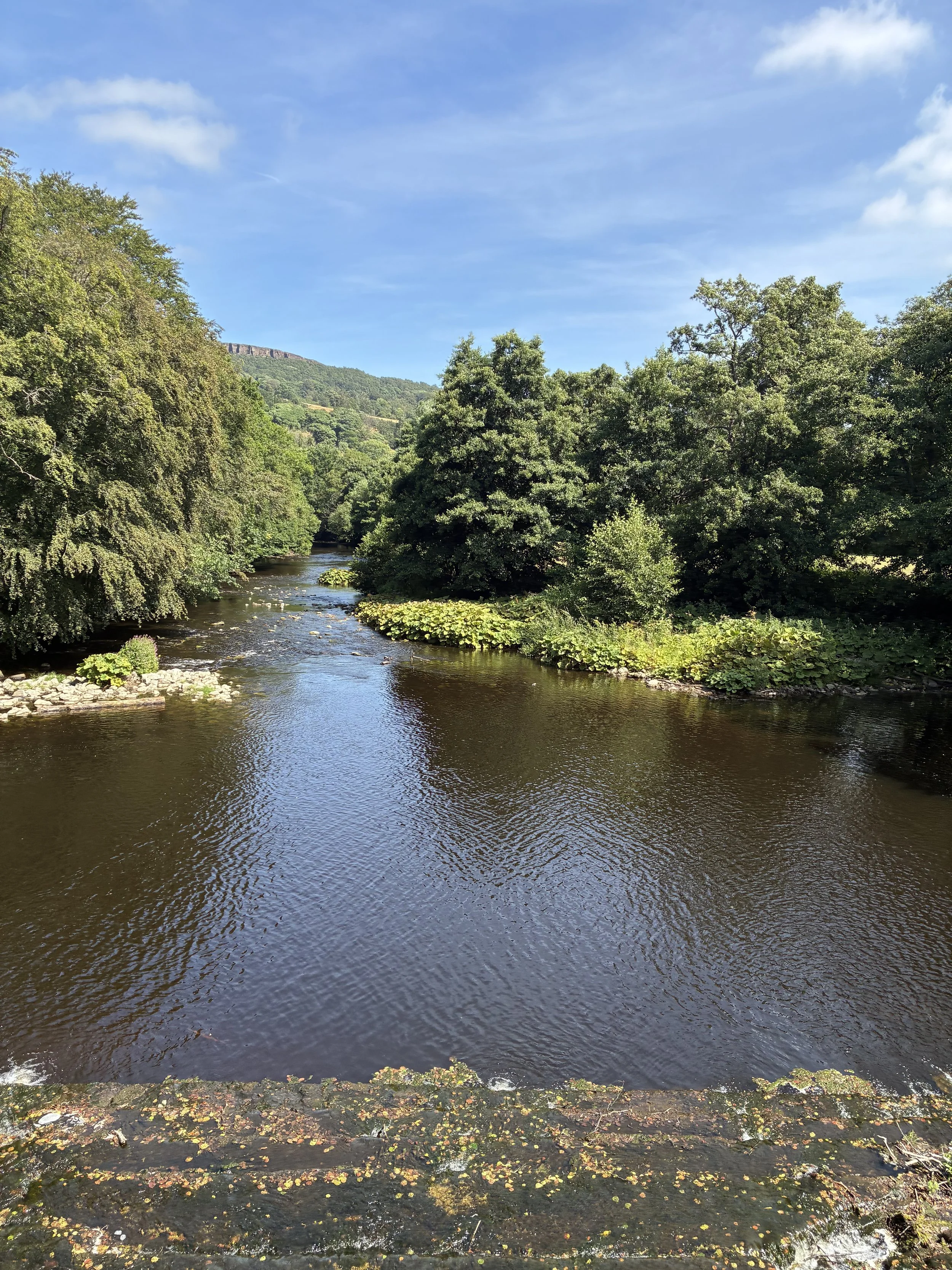 A calm river flowing through a lush green forest with trees on both sides and a hill in the background under a partly cloudy sky.