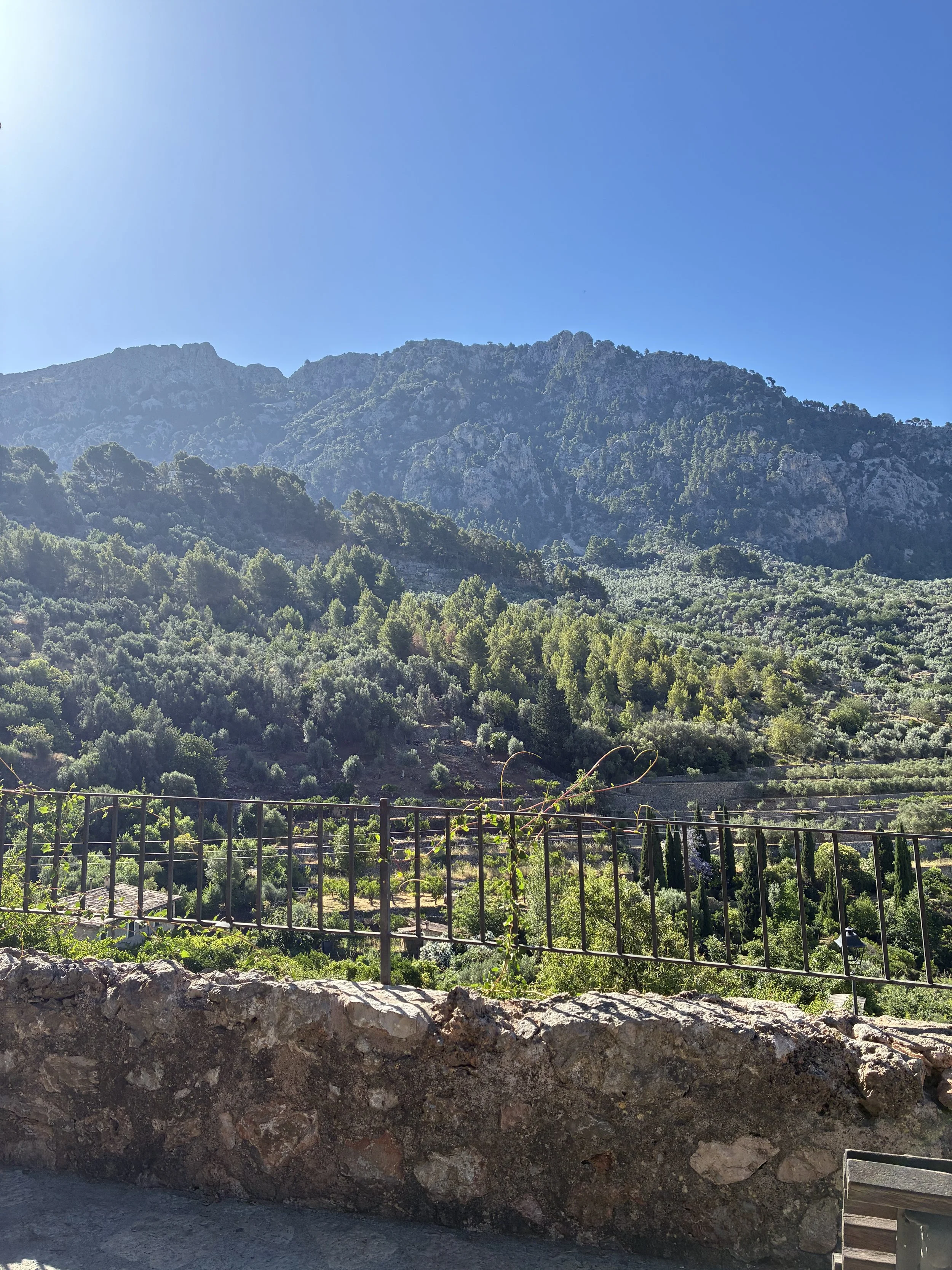 A scenic mountain landscape with lush green trees on the hills and rugged peaks in the background under a clear blue sky.